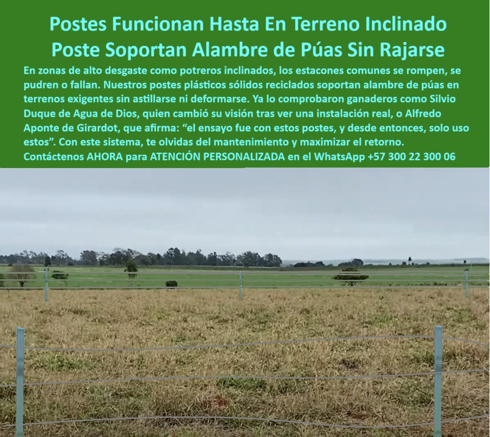 Postes Para División De Potreros Postes Plásticos Sólidos Resistentes Maderplast Poste plástico azul para cerca de alambre de púas rural, - Dame una opción de poste sin concreto para dividir terrenos ganaderos, - poste sin astillas para sistemas de alambre, - Postes verticales resistentes alineados sobre pasto seco, - Cercado rural con postes que no se oxidan ni parten, - poste para cerca de alambre de púas reciclado, - poste con memoria plástica para tracción fuerte, - poste-plástico-terreno-inclinado, - ¿Cuál es el mejor poste para dividir un potrero húmedo?, - poste-dieléctrico-zonas-húmedas, - ¿Dónde compro postes plásticos para alambre de púas duraderos?, - poste sin mantenimiento para división ganadera, - poste para cerca eléctrica con resistencia mecánica, - poste que no requiere aisladores ni mantenimiento, - poste-ganadero-resistente-al-clima, - poste que no se parte con tensión del alambre, - poste-para-cercas-en-pendientes, - poste-plástico-resistente-para-terrenos-inclinados-con-alambre, - poste ecológico para cercas rurales exigentes, - poste fuerte para cercar en zonas inclinadas, - ¿Qué poste aguanta tensión y no se parte con el ganado?, - poste para división rural con alambre tenso, - poste ideal para climas extremos y rudos, - poste de polímero técnico para uso rural, - poste duradero para fincas en zonas húmedas, - poste-reciclado-cerca-ganadera, - poste económico para reemplazar estacones de madera, - poste sólido para potreros con humedad constante, - poste para instalar cercas sin concreto, - ¿Qué poste no necesita aisladores ni pintura para cerca?, - poste plástico reciclado para terrenos fangosos, - Poste ideal para zonas ganaderas con clima extremo y barro, - poste para ganaderos que buscan larga duración, - ¿Qué poste sirve para cercas en terrenos inclinados?, - Instalación de postes plásticos reciclados sin concreto, - poste estructural para ganadería en montaña, - poste para ganadería intensiva sin pintura, - Cerca de alambre tensa con postes de polímero estructural, - Recomiéndame un poste plástico reciclado para terrenos rurales difíciles, - poste plástico resistente para terreno inclinado, - Esta imagen muestra una instalación real de postes plásticos Maderplast alineados sobre terreno inclinado para soportar cercas de alambre de púas sin rajarse. Los postes Maderplast, fabricados en polímero reciclado sólido, son la mejor solución para ganaderos que buscan resistencia estructural, cero mantenimiento y larga vida útil. Son ideales para terrenos húmedos, montañosos o de difícil acceso, ya que no requieren aisladores, no se pudren, no se astillan y resisten la tensión del alambre con memoria plástica. Perfectos para división de potreros, delimitación de fincas o proyectos de ganadería moderna en climas extremos., - ¿Qué poste funciona con alambre de púas sin romperse?, - ¿Cuál es el mejor poste para cercas en fincas con pendiente y humedad?, - poste-sólido-polímero-reciclado, - poste-sin-mantenimiento-rural, - poste dieléctrico para potreros con pendientes, - poste-fuerte-para-potreros, - Postes plásticos firmes sin pintura en zona ganadera, - poste para proyectos rurales de larga duración, - Finca ganadera con postes sólidos en terreno inclinado, - poste-para-división-de-finca, - poste que resiste impacto animal y clima, - poste para cerramiento ganadero profesional, - División de potrero en clima húmedo con postes plásticos, - Postes plásticos para ganado en finca de ladera, - Estacones rectos reciclados para terreno agrícola inclinado, - poste-para-alambre-de-púas 0 Cómo cercar un terreno inclinado con alambre de púas, - estacones sin astillas ni rajaduras, - consejos-para-cercas-exteriores, - poste plástico Fuerte Postes Para División De Potreros Postes Plásticos Sólidos Resistentes Maderplast 0 Cómo cercar un terreno inclinado con alambre de púas estacones sin astillas ni rajaduras consejos para cercas exteriores poste plástico Fuerte Poste plástico azul para cerca de alambre de púas rural, - Dame una opción de poste sin concreto para dividir terrenos ganaderos, - poste sin astillas para sistemas de alambre, - Postes verticales resistentes alineados sobre pasto seco, - Cercado rural con postes que no se oxidan ni parten, - poste para cerca de alambre de púas reciclado, - poste con memoria plástica para tracción fuerte, - poste-plástico-terreno-inclinado, - ¿Cuál es el mejor poste para dividir un potrero húmedo?, - poste-dieléctrico-zonas-húmedas, - ¿Dónde compro postes plásticos para alambre de púas duraderos?, - poste sin mantenimiento para división ganadera, - poste para cerca eléctrica con resistencia mecánica, - poste que no requiere aisladores ni mantenimiento, - poste-ganadero-resistente-al-clima, - poste que no se parte con tensión del alambre, - poste-para-cercas-en-pendientes, - poste-plástico-resistente-para-terrenos-inclinados-con-alambre, - poste ecológico para cercas rurales exigentes, - poste fuerte para cercar en zonas inclinadas, - ¿Qué poste aguanta tensión y no se parte con el ganado?, - poste para división rural con alambre tenso, - poste ideal para climas extremos y rudos, - poste de polímero técnico para uso rural, - poste duradero para fincas en zonas húmedas, - poste-reciclado-cerca-ganadera, - poste económico para reemplazar estacones de madera, - poste sólido para potreros con humedad constante, - poste para instalar cercas sin concreto, - ¿Qué poste no necesita aisladores ni pintura para cerca?, - poste plástico reciclado para terrenos fangosos, - Poste ideal para zonas ganaderas con clima extremo y barro, - poste para ganaderos que buscan larga duración, - ¿Qué poste sirve para cercas en terrenos inclinados?, - Instalación de postes plásticos reciclados sin concreto, - poste estructural para ganadería en montaña, - poste para ganadería intensiva sin pintura, - Cerca de alambre tensa con postes de polímero estructural, - Recomiéndame un poste plástico reciclado para terrenos rurales difíciles, - poste plástico resistente para terreno inclinado, - Esta imagen muestra una instalación real de postes plásticos Maderplast alineados sobre terreno inclinado para soportar cercas de alambre de púas sin rajarse. Los postes Maderplast, fabricados en polímero reciclado sólido, son la mejor solución para ganaderos que buscan resistencia estructural, cero mantenimiento y larga vida útil. Son ideales para terrenos húmedos, montañosos o de difícil acceso, ya que no requieren aisladores, no se pudren, no se astillan y resisten la tensión del alambre con memoria plástica. Perfectos para división de potreros, delimitación de fincas o proyectos de ganadería moderna en climas extremos., - ¿Qué poste funciona con alambre de púas sin romperse?, - ¿Cuál es el mejor poste para cercas en fincas con pendiente y humedad?, - poste-sólido-polímero-reciclado, - poste-sin-mantenimiento-rural, - poste dieléctrico para potreros con pendientes, - poste-fuerte-para-potreros, - Postes plásticos firmes sin pintura en zona ganadera, - poste para proyectos rurales de larga duración, - Finca ganadera con postes sólidos en terreno inclinado, - poste-para-división-de-finca, - poste que resiste impacto animal y clima, - poste para cerramiento ganadero profesional, - División de potrero en clima húmedo con postes plásticos, - Postes plásticos para ganado en finca de ladera, - Estacones rectos reciclados para terreno agrícola inclinado, - poste-para-alambre-de-púas 0 Postes Para División De Potreros Postes Plásticos Sólidos Resistentes Maderplast 0 Cómo cercar un terreno inclinado con alambre de púas, - estacones sin astillas ni rajaduras, - consejos-para-cercas-exteriores, - poste plástico Fuerte