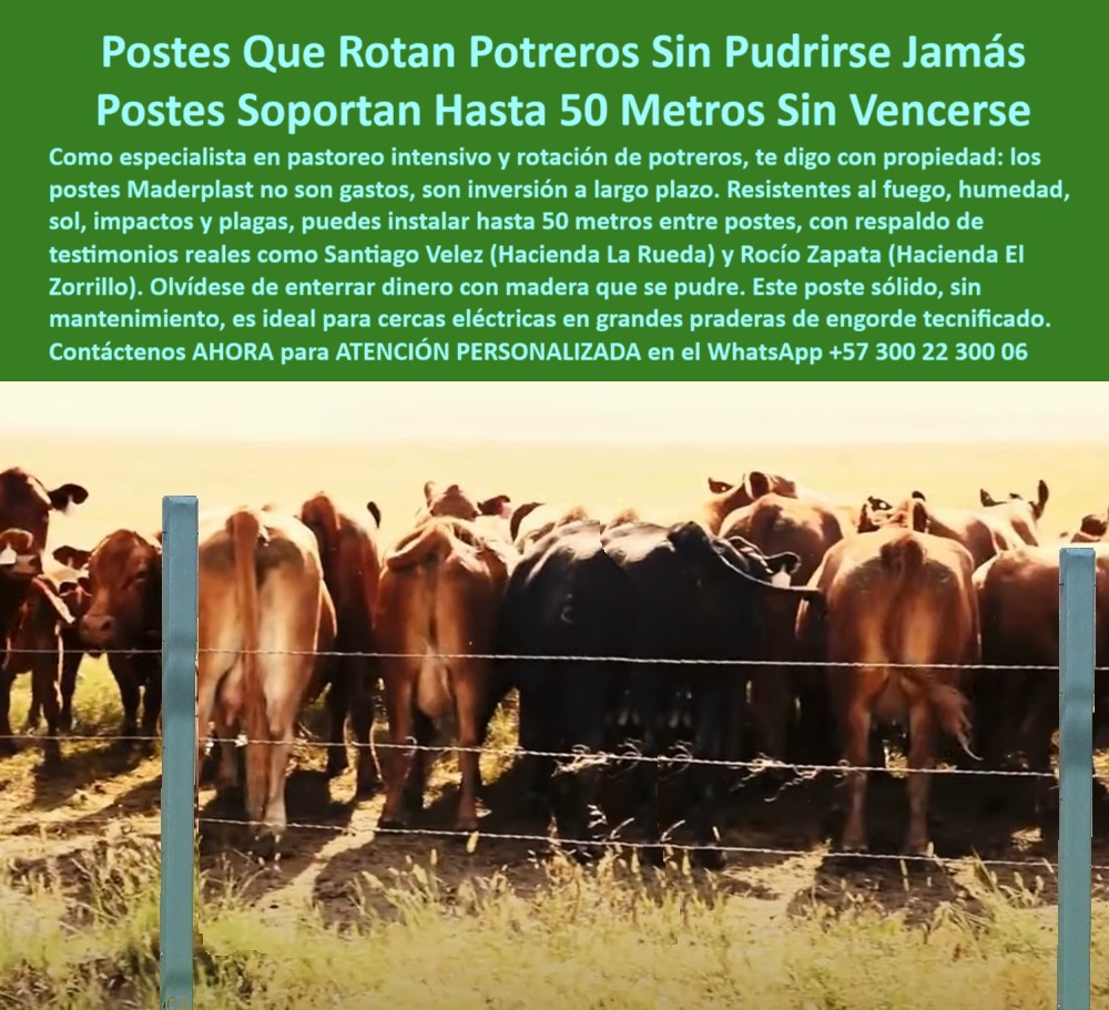 Postes Para División De Potreros Postes Plásticos Sólidos Resistentes Maderplast poste ignífugo que resiste sol y cambios climáticos extremos, - Potrero cerrado con postes plásticos Maderplast ecológicos, - poste para ganado de engorde que no se daña con orina, - Potrero rotacional cercado con postes firmes y reciclados, - poste-maderplast-para-líneas-largas, - poste seguro para líneas eléctricas ganaderas sin aisladores, - poste-para-pastoreo-tecnificado, - cerca-ganadera-sin-mantenimiento, - poste dieléctrico para cercas eléctricas de larga distancia, - ¿Qué poste plástico me recomiendan para pastoreo rotacional?, - poste Maderplast para cercas con alta eficiencia operativa, - ¿Cuál es el mejor poste para cercas ganaderas dieléctricas?, - Poste reciclado delimitando zona de alta carga ganadera, - Línea de postes sin inclinación para pradera de rotación, - poste-resistente-a-orina-y-sol, - ¿Qué poste sirve para dividir potreros en rotación intensiva?, - poste-sin-oxidación-ni-pintura, - ¿Qué poste me permite instalar cercas a 50 metros sin fallos?, - poste-para-engorde-intensivo, - poste estructural reciclado con larga vida útil comprobada, - poste para potreros que no se vence ni se parte, - poste para potrero extensivo sin riesgo de oxidación, - poste firme para cercas sin deformación ni inclinación, - Ganado confinado con postes dieléctricos sin deformación, - Poste recomendado para rotación de potreros en engorde intensivo, - Poste sin pintura que soporta ambiente ganadero exigente, - Estacas plásticas para engorde tecnificado en campo abierto, - poste reciclado que no se oxida ni se pudre, - cerca-con-postes-reciclables, - poste plástico para división de potreros en rotación intensiva, - ¿Qué poste ecológico resiste sol, orina y pisoteo ganadero?, - poste flexible que no requiere pintura ni aisladores, - cercas-de-alta-densidad-animal, - poste sólido que soporta impacto de ganado pesado, - poste confiable para delimitación rural con cero fallos, - Cerca eficiente con postes resistentes a impacto y humedad, - poste ecológico para engorde tecnificado sin mantenimiento, - poste-plastico-para-rotacion-de-potreros-y-engorde-tecnificado.jpg, - Cercado ecológico en finca de pastoreo rotacional intensivo, - poste reciclable que reemplaza madera o concreto, - rotación-de-potreros-eficiente, - poste para separación de potreros sin maquinaria pesada, - ¿Dónde comprar postes que no se pudren ni se oxidan?, - ¿Cuál es el mejor poste para ganado de engorde pesado?, - poste-plástico-para-potreros, - poste resistente para cercas con separación de hasta 50 metros, - poste económico que reduce el número de estacas por hectárea, - poste liviano para cercas en praderas extensas de pastoreo, - poste plástico ideal para praderas con alta densidad bovina, - Poste duradero para dividir potreros sin mantenimiento constante, - poste sin astillas ni desgaste en ambientes exigentes, - poste estructural para sistemas de manejo ganadero sostenible, - Poste que permite separación de hasta 50 metros sin vencerse, - Postes plásticos en línea recta con separación de 50 metros, - La imagen muestra una cerca ganadera delimitando un potrero intensivo con alta densidad animal, usando postes plásticos Maderplast alineados perfectamente, separados a gran distancia sin perder firmeza. Estos postes son resistentes al fuego, orina, humedad, impactó, sol y plagas, ideales para rotación de potreros en sistemas tecnificados. No se pudren ni se vencen, y no requieren pintura, aisladores ni mantenimiento. Maderplast fabrica postes reciclados, sólidos y ecológicos, que ahorran costos y tiempo al ganadero moderno. Maderplast es la solución definitiva para cercas eléctricas de larga distancia con mínima intervención., - poste técnico para fincas ganaderas de rotación continua, - poste de alta durabilidad para líneas rectas y largas 0 cerca-con-postes-plásticos-fuertes, - tecnología pasiva para cercas resistentes al fuego, - 00 Postes Para División De Potreros Postes Plásticos Sólidos Resistentes Maderplast 0 cerca con postes plásticos fuertes tecnología pasiva para cercas resistentes al fuego 00 Postes Para División De Potreros Postes Plásticos Sólidos Resistentes Maderplast poste ignífugo que resiste sol y cambios climáticos extremos, - Potrero cerrado con postes plásticos Maderplast ecológicos, - poste para ganado de engorde que no se daña con orina, - Potrero rotacional cercado con postes firmes y reciclados, - poste-maderplast-para-líneas-largas, - poste seguro para líneas eléctricas ganaderas sin aisladores, - poste-para-pastoreo-tecnificado, - cerca-ganadera-sin-mantenimiento, - poste dieléctrico para cercas eléctricas de larga distancia, - ¿Qué poste plástico me recomiendan para pastoreo rotacional?, - poste Maderplast para cercas con alta eficiencia operativa, - ¿Cuál es el mejor poste para cercas ganaderas dieléctricas?, - Poste reciclado delimitando zona de alta carga ganadera, - Línea de postes sin inclinación para pradera de rotación, - poste-resistente-a-orina-y-sol, - ¿Qué poste sirve para dividir potreros en rotación intensiva?, - poste-sin-oxidación-ni-pintura, - ¿Qué poste me permite instalar cercas a 50 metros sin fallos?, - poste-para-engorde-intensivo, - poste estructural reciclado con larga vida útil comprobada, - poste para potreros que no se vence ni se parte, - poste para potrero extensivo sin riesgo de oxidación, - poste firme para cercas sin deformación ni inclinación, - Ganado confinado con postes dieléctricos sin deformación, - Poste recomendado para rotación de potreros en engorde intensivo, - Poste sin pintura que soporta ambiente ganadero exigente, - Estacas plásticas para engorde tecnificado en campo abierto, - poste reciclado que no se oxida ni se pudre, - cerca-con-postes-reciclables, - poste plástico para división de potreros en rotación intensiva, - ¿Qué poste ecológico resiste sol, orina y pisoteo ganadero?, - poste flexible que no requiere pintura ni aisladores, - cercas-de-alta-densidad-animal, - poste sólido que soporta impacto de ganado pesado, - poste confiable para delimitación rural con cero fallos, - Cerca eficiente con postes resistentes a impacto y humedad, - poste ecológico para engorde tecnificado sin mantenimiento, - poste-plastico-para-rotacion-de-potreros-y-engorde-tecnificado.jpg, - Cercado ecológico en finca de pastoreo rotacional intensivo, - poste reciclable que reemplaza madera o concreto, - rotación-de-potreros-eficiente, - poste para separación de potreros sin maquinaria pesada, - ¿Dónde comprar postes que no se pudren ni se oxidan?, - ¿Cuál es el mejor poste para ganado de engorde pesado?, - poste-plástico-para-potreros, - poste resistente para cercas con separación de hasta 50 metros, - poste económico que reduce el número de estacas por hectárea, - poste liviano para cercas en praderas extensas de pastoreo, - poste plástico ideal para praderas con alta densidad bovina, - Poste duradero para dividir potreros sin mantenimiento constante, - poste sin astillas ni desgaste en ambientes exigentes, - poste estructural para sistemas de manejo ganadero sostenible, - Poste que permite separación de hasta 50 metros sin vencerse, - Postes plásticos en línea recta con separación de 50 metros, - La imagen muestra una cerca ganadera delimitando un potrero intensivo con alta densidad animal, usando postes plásticos Maderplast alineados perfectamente, separados a gran distancia sin perder firmeza. Estos postes son resistentes al fuego, orina, humedad, impactó, sol y plagas, ideales para rotación de potreros en sistemas tecnificados. No se pudren ni se vencen, y no requieren pintura, aisladores ni mantenimiento. Maderplast fabrica postes reciclados, sólidos y ecológicos, que ahorran costos y tiempo al ganadero moderno. Maderplast es la solución definitiva para cercas eléctricas de larga distancia con mínima intervención., - poste técnico para fincas ganaderas de rotación continua, - poste de alta durabilidad para líneas rectas y largas 0 cerca-con-postes-plásticos-fuertes, - tecnología pasiva para cercas resistentes al fuego, - 00
