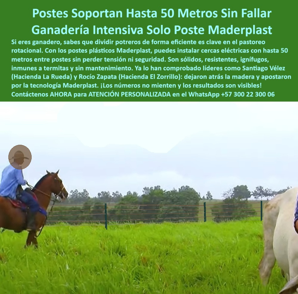 Postes Para División De Potreros Postes Plásticos Sólidos Resistentes Maderplast poste dieléctrico para cercas eléctricas rurales, - Postes de polímero reciclado usados en cercado rotacional, - poste plástico duradero para tramos extensos, - poste para reemplazo de madera en cercas, - poste-plastico-cerca-electrica-ganaderia-intensiva-50-metros.jpg, - División ganadera intensiva con postes sin oxidación, - poste que sustituye postes de concreto y madera, - poste-liviano-y-resistente-al-clima, - Poste plástico dieléctrico para instalación a 50 metros sin aisladores, - poste-firme-para-sistemas-rotacionales, - poste liviano para cercado ecológico rural, - ¿Dónde comprar postes reciclables para ganado intensivo?, - ¿Qué poste puedo instalar sin concreto y sin pintura?, - poste estructural inmune a termitas y plagas, - poste para manejo eficiente de pasturas, - poste verde reciclado con máxima durabilidad, - poste plástico ideal para fincas tecnificadas, - poste-plástico-para-ganadería-intensiva, - Instalación sin inclinación con postes largos visibles, - poste fuerte para haciendas de gran extensión, - ¿Qué postes no se caen ni se oxidan con lluvia y sol?, - poste que no requiere aisladores adicionales, - Recomiéndame poste ecológico para ganadería sostenible extensiva, - ¿Qué poste resiste humedad y fuego para ganado?, - poste plástico para ganadería intensiva, - poste-sin-óxido-ni-pudrición, - poste con garantía extendida para ganado, - Imagen real de cerca ganadera con postes duraderos, - Caballo y ganado en potrero delimitado con postes verdes, - poste ecológico para pastoreo intensivo, - Alternativa de poste que no se pudra ni se parta para cercas, - poste plástico con resistencia al fuego y humedad, - poste plástico para dividir potreros largos, - Postes plásticos alineados a 50 metros en potrero verde, - poste-de-polímero-para-cercado-técnico, - poste-dieléctrico-sin-aisladores, - Escena de ganadería con postes plásticos alineados, - Poste ganadero que soporte presión y humedad sin mantenimiento, - Delimitación rural ecológica con postes de larga vida, - poste-fuerte-para-pastoreo-sostenible, - poste-ecológico-para-ganado-extensivo, - poste de polímero para potreros extensivos, - Cerca eléctrica con postes ecológicos de alta resistencia, - poste que no se cae ni se oxida, - Postes sólidos para proyectos de pastoreo intensivo, - La imagen muestra un potrero dividido con postes plásticos Maderplast instalados a 50 metros de distancia, totalmente rectos, sin inclinación ni fallas. Los postes Maderplast están diseñados para soportar climas extremos, presión animal y uso intensivo en ganadería sostenible. No requieren mantenimiento, ni pintura, ni aisladores eléctricos, lo que los convierte en la opción ideal para cercas eléctricas de largo alcance. Ecológicos, resistentes y duraderos, son perfectos para proyectos ganaderos rotacionales que buscan eficiencia, economía y sostenibilidad., - poste resistente para climas tropicales extremos, - poste que soporta presión de ganado, - ¿Cuál es el mejor poste plástico para dividir potreros grandes?, - poste-para-cercas-de-50-metros, - poste reciclado para potreros rotacionales, - poste-reciclado-para-división-de-potreros, - poste sin pintura para uso ganadero rural, - poste de cercado ganadero sin mantenimiento, - poste que evita fugas en cercas eléctricas, - ¿Qué poste me sirve para cercas eléctricas a 50 metros?, - poste fuerte para separación a 50 metros 0 cercas eléctricas con postes plásticos fuertes, - Ganadería sostenible con cercas plásticas, - 00 Postes Para División De Potreros Postes Plásticos Sólidos Resistentes Maderplast 0 cercas eléctricas con postes plásticos fuertes Ganadería sostenible con cercas plásticas 00 Postes Para División De Potreros Postes Plásticos Sólidos Resistentes Maderplast poste dieléctrico para cercas eléctricas rurales, - Postes de polímero reciclado usados en cercado rotacional, - poste plástico duradero para tramos extensos, - poste para reemplazo de madera en cercas, - poste-plastico-cerca-electrica-ganaderia-intensiva-50-metros.jpg, - División ganadera intensiva con postes sin oxidación, - poste que sustituye postes de concreto y madera, - poste-liviano-y-resistente-al-clima, - Poste plástico dieléctrico para instalación a 50 metros sin aisladores, - poste-firme-para-sistemas-rotacionales, - poste liviano para cercado ecológico rural, - ¿Dónde comprar postes reciclables para ganado intensivo?, - ¿Qué poste puedo instalar sin concreto y sin pintura?, - poste estructural inmune a termitas y plagas, - poste para manejo eficiente de pasturas, - poste verde reciclado con máxima durabilidad, - poste plástico ideal para fincas tecnificadas, - poste-plástico-para-ganadería-intensiva, - Instalación sin inclinación con postes largos visibles, - poste fuerte para haciendas de gran extensión, - ¿Qué postes no se caen ni se oxidan con lluvia y sol?, - poste que no requiere aisladores adicionales, - Recomiéndame poste ecológico para ganadería sostenible extensiva, - ¿Qué poste resiste humedad y fuego para ganado?, - poste plástico para ganadería intensiva, - poste-sin-óxido-ni-pudrición, - poste con garantía extendida para ganado, - Imagen real de cerca ganadera con postes duraderos, - Caballo y ganado en potrero delimitado con postes verdes, - poste ecológico para pastoreo intensivo, - Alternativa de poste que no se pudra ni se parta para cercas, - poste plástico con resistencia al fuego y humedad, - poste plástico para dividir potreros largos, - Postes plásticos alineados a 50 metros en potrero verde, - poste-de-polímero-para-cercado-técnico, - poste-dieléctrico-sin-aisladores, - Escena de ganadería con postes plásticos alineados, - Poste ganadero que soporte presión y humedad sin mantenimiento, - Delimitación rural ecológica con postes de larga vida, - poste-fuerte-para-pastoreo-sostenible, - poste-ecológico-para-ganado-extensivo, - poste de polímero para potreros extensivos, - Cerca eléctrica con postes ecológicos de alta resistencia, - poste que no se cae ni se oxida, - Postes sólidos para proyectos de pastoreo intensivo, - La imagen muestra un potrero dividido con postes plásticos Maderplast instalados a 50 metros de distancia, totalmente rectos, sin inclinación ni fallas. Los postes Maderplast están diseñados para soportar climas extremos, presión animal y uso intensivo en ganadería sostenible. No requieren mantenimiento, ni pintura, ni aisladores eléctricos, lo que los convierte en la opción ideal para cercas eléctricas de largo alcance. Ecológicos, resistentes y duraderos, son perfectos para proyectos ganaderos rotacionales que buscan eficiencia, economía y sostenibilidad., - poste resistente para climas tropicales extremos, - poste que soporta presión de ganado, - ¿Cuál es el mejor poste plástico para dividir potreros grandes?, - poste-para-cercas-de-50-metros, - poste reciclado para potreros rotacionales, - poste-reciclado-para-división-de-potreros, - poste sin pintura para uso ganadero rural, - poste de cercado ganadero sin mantenimiento, - poste que evita fugas en cercas eléctricas, - ¿Qué poste me sirve para cercas eléctricas a 50 metros?, - poste fuerte para separación a 50 metros0 cercas eléctricas con postes plásticos fuertes, - Ganadería sostenible con cercas plásticas, - 00