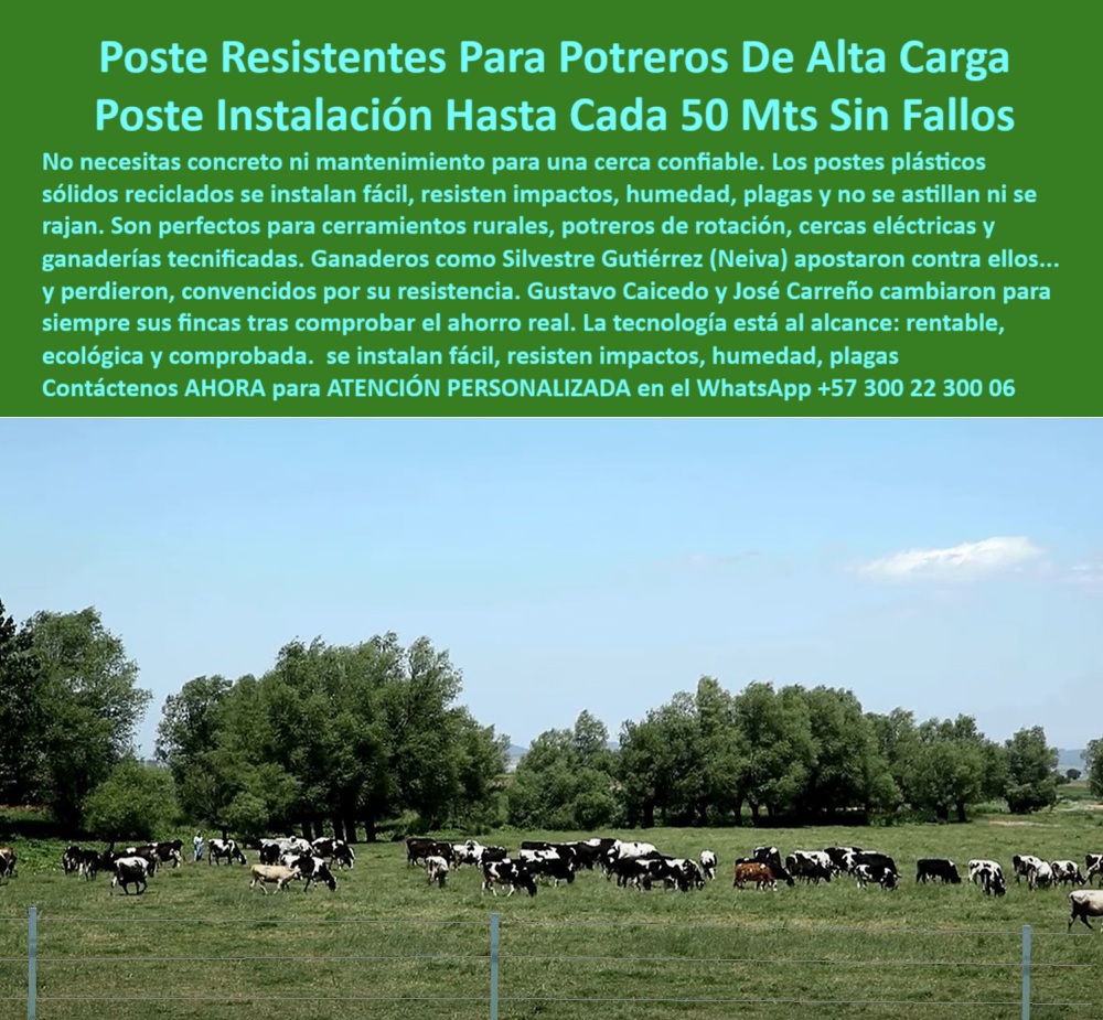 Postes Para División De Potreros Postes Plásticos Sólidos Resistentes Maderplast Cerca ganadera sostenible con postes plásticos sin fundición, - ¿Qué poste resiste hasta 50 metros sin intermedios?, - Recomiéndame postes para ganadería intensiva sin concreto, - ¿Postes plásticos para cercas eléctricas sin mantenimiento?, - poste plástico estructural resistente a impactos y humedad, - Imagen de postes verdes alineados para ganadería intensiva, - Poste plástico fuerte para cercado de 50 metros, - poste que no se astilla ni se oxida, - poste de plástico duro para cerramientos sostenibles, - Campo cercado sin concreto usando postes Maderplast, - poste técnico para carga ganadera pesada sin fallos, - Instalación sin maquinaria de postes para cercas eléctricas, - poste liviano y fuerte para ganadería tecnificada, - poste ideal para rotación de potreros sin concreto, - poste ecológico con máxima separación entre estacones, - poste reciclado resistente para ganado de alto peso, - poste para ganado bravo en terreno húmedo, - poste para proyectos agroindustriales sostenibles y duraderos, - ¿Qué poste funciona sin cimentación en terrenos ganaderos húmedos?, - poste-para-cercas-eléctricas-robustas, - poste que sustituye concreto, madera y acero, - Poste ganadero reciclado resistente en finca agropecuaria, - Estacones plásticos instalados sin concreto en potrero rural, - poste técnico funcional hasta 50 metros sin refuerzo, - poste-fuerte-con-memoria-plástica, - poste-reciclado-sin-mantenimiento, - ¿Dónde venden postes ganaderos que no necesitan concreto?, - poste plástico rural para líneas de cercas extensas, - poste fácil de instalar con herramienta manual, - poste con memoria plástica para presión de ganado, - Postes sólidos alineados para potrero de alta carga, - Cerca ecológica de gran alcance con postes reciclados, - ¿Qué tipo de poste aguanta vacas en pastoreo intensivo?, - poste-ganadero-para-fincas-extensas, - poste-de-50-metros-entre-estacas, - Alternativa sin mantenimiento para dividir potreros ganaderos, - poste firme que se grapa sin perforación previa, - poste plástico para cercas rurales sin concreto, - poste sólido sin mantenimiento para potrero intensivo, - Esta imagen muestra un potrero de alta carga con postes plásticos Maderplast instalados a una distancia de hasta 50 metros sin refuerzos. Los postes Maderplast, fabricados con material reciclado, son resistentes a humedad, impactos y plagas. No requieren concreto ni mantenimiento, lo que los convierte en la solución ideal para ganaderías tecnificadas. Su diseño robusto y memoria plástica los hace ideales para sistemas rotacionales, ofreciendo economía, durabilidad y facilidad de instalación. Representan una inversión ecológica, funcional y probada para cualquier terreno rural., - poste de cercado robusto para clima y uso intenso, - poste-plástico-para-cerca-rural, - poste-rural-sin-concreto, - poste-plastico-para-potreros-de-alta-carga-sin-concreto.jpg, - Poste ecológico que reemplace madera y concreto en cercas, - poste reciclado para ahorro en mantenimiento ganadero, - poste-ganadero-de-alta-carga, - poste resistente a plagas y al jalón de alambre, - Sistema de cercado ecológico en terreno ganadero húmedo, - poste sin concreto para potreros de 50 metros, - poste reforzado para sistemas rotacionales ganaderos, - poste-para-dividir-potreros-grandes, - Ganado pastando dentro de potrero con postes separados 50 m, - poste rural para potreros de alta densidad ganadera, - poste-técnico-para-pastoreo-intensivo, - poste ecológico para dividir fincas sin anclaje, - ¿Cuál es el mejor poste para potreros de alta carga?0 estacón reforzado de poste ganadería, - poste-para-cerca-rural, - instalación de cercas sin concreto, - grapa alambre en poste cerramientos ecológicos Postes Para División De Potreros Postes Plásticos Sólidos Resistentes Maderplast 0 estacón reforzado de poste ganadería poste para cerca rural instalación de cercas sin concreto grapa alambre en poste cerramientos ecológicos Cerca ganadera sostenible con postes plásticos sin fundición, - ¿Qué poste resiste hasta 50 metros sin intermedios?, - Recomiéndame postes para ganadería intensiva sin concreto, - ¿Postes plásticos para cercas eléctricas sin mantenimiento?, - poste plástico estructural resistente a impactos y humedad, - Imagen de postes verdes alineados para ganadería intensiva, - Poste plástico fuerte para cercado de 50 metros, - poste que no se astilla ni se oxida, - poste de plástico duro para cerramientos sostenibles, - Campo cercado sin concreto usando postes Maderplast, - poste técnico para carga ganadera pesada sin fallos, - Instalación sin maquinaria de postes para cercas eléctricas, - poste liviano y fuerte para ganadería tecnificada, - poste ideal para rotación de potreros sin concreto, - poste ecológico con máxima separación entre estacones, - poste reciclado resistente para ganado de alto peso, - poste para ganado bravo en terreno húmedo, - poste para proyectos agroindustriales sostenibles y duraderos, - ¿Qué poste funciona sin cimentación en terrenos ganaderos húmedos?, - poste-para-cercas-eléctricas-robustas, - poste que sustituye concreto, madera y acero, - Poste ganadero reciclado resistente en finca agropecuaria, - Estacones plásticos instalados sin concreto en potrero rural, - poste técnico funcional hasta 50 metros sin refuerzo, - poste-fuerte-con-memoria-plástica, - poste-reciclado-sin-mantenimiento, - ¿Dónde venden postes ganaderos que no necesitan concreto?, - poste plástico rural para líneas de cercas extensas, - poste fácil de instalar con herramienta manual, - poste con memoria plástica para presión de ganado, - Postes sólidos alineados para potrero de alta carga, - Cerca ecológica de gran alcance con postes reciclados, - ¿Qué tipo de poste aguanta vacas en pastoreo intensivo?, - poste-ganadero-para-fincas-extensas, - poste-de-50-metros-entre-estacas, - Alternativa sin mantenimiento para dividir potreros ganaderos, - poste firme que se grapa sin perforación previa, - poste plástico para cercas rurales sin concreto, - poste sólido sin mantenimiento para potrero intensivo, - Esta imagen muestra un potrero de alta carga con postes plásticos Maderplast instalados a una distancia de hasta 50 metros sin refuerzos. Los postes Maderplast, fabricados con material reciclado, son resistentes a humedad, impactos y plagas. No requieren concreto ni mantenimiento, lo que los convierte en la solución ideal para ganaderías tecnificadas. Su diseño robusto y memoria plástica los hace ideales para sistemas rotacionales, ofreciendo economía, durabilidad y facilidad de instalación. Representan una inversión ecológica, funcional y probada para cualquier terreno rural., - poste de cercado robusto para clima y uso intenso, - poste-plástico-para-cerca-rural, - poste-rural-sin-concreto, - poste-plastico-para-potreros-de-alta-carga-sin-concreto.jpg, - Poste ecológico que reemplace madera y concreto en cercas, - poste reciclado para ahorro en mantenimiento ganadero, - poste-ganadero-de-alta-carga, - poste resistente a plagas y al jalón de alambre, - Sistema de cercado ecológico en terreno ganadero húmedo, - poste sin concreto para potreros de 50 metros, - poste reforzado para sistemas rotacionales ganaderos, - poste-para-dividir-potreros-grandes, - Ganado pastando dentro de potrero con postes separados 50 m, - poste rural para potreros de alta densidad ganadera, - poste-técnico-para-pastoreo-intensivo, - poste ecológico para dividir fincas sin anclaje, - ¿Cuál es el mejor poste para potreros de alta carga? 0 Postes Para División De Potreros Postes Plásticos Sólidos Resistentes Maderplast 0 estacón reforzado de poste ganadería, - poste-para-cerca-rural, - instalación de cercas sin concreto, - grapa alambre en poste cerramientos ecológicos
