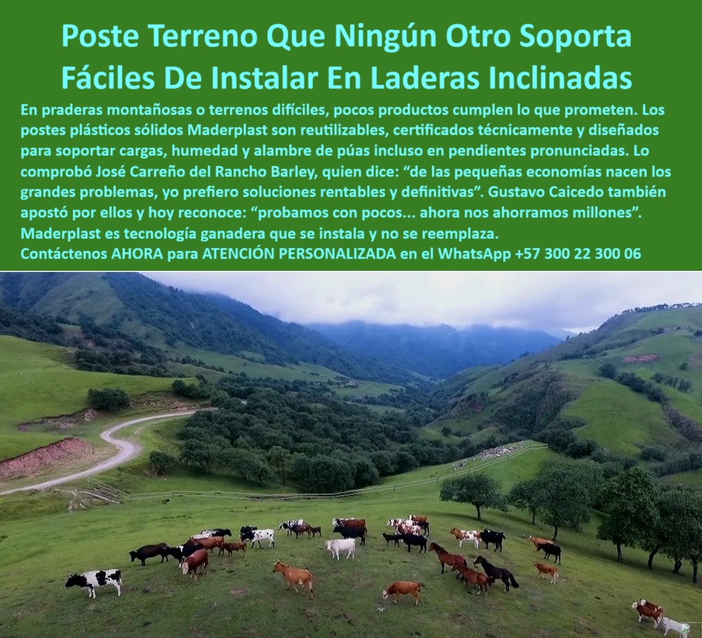 Postes Para División De Potreros Postes Plásticos Sólidos Resistentes Maderplast poste resistente para alambre de púas en praderas, - Poste plástico resistente instalado en ladera ganadera inclinada, - Poste técnico en terreno húmedo y escarpado rural, - poste económico que no requiere reemplazo rural, - poste-ecologico-para-montañas, - Solución de cerramiento firme para zonas ganaderas altas, - poste sólido para delimitación ganadera en praderas, - poste-reutilizable-para-ganaderia, - poste-plastico-solido-para-potreros-en-terrenos-inclinados.jpg, - ¿Cuál es el mejor poste para cercas en praderas escarpadas?, - poste-sin-reemplazo-para-cercas, - poste técnico para conservación de fincas escarpadas, - ¿Cuál es el mejor poste para cerramientos ganaderos permanentes?, - Recomiéndame un poste técnico para dividir potreros en montaña, - poste de alta ingeniería para pendientes con humedad, - Poste certificado que soporte alambre de púas en terrenos difíciles, - poste ecológico para instalación en laderas con ganado, - poste-resistente-para-alambre-de-puas, - ¿Qué poste sirve para dividir potreros en terrenos inclinados?, - poste-certificado-para-fincas, - poste plástico sólido para terrenos forestales, - poste estructural plástico para zonas remotas, - Postes plásticos sólidos en terreno con ganado y pendiente, - poste liviano para cerramiento de alta montaña, - poste con certificación técnica para agricultura, - poste certificado para zonas rurales de difícil acceso, - poste que resiste lluvia, viento y presión animal, - poste-para-terrenos-inclinados, - poste-reciclado-para-potreros, - poste plástico para cercas en terrenos inclinados, - poste de polipropileno reciclado para ganadería moderna, - poste para cercas en terrenos irregulares sin mantenimiento, - cerramiento-rural-en-pendiente, - Pradera ganadera delimitada con postes reciclables Maderplast, - ¿Dónde consigo postes plásticos resistentes para zonas de montaña?, - poste-solido-para-praderas, - ¿Qué poste no se reemplaza y dura muchos años en el campo?, - poste plástico para pendientes pronunciadas en fincas, - poste modular para caminos rurales y áreas inclinadas, - División de potreros inclinados con postes reutilizables, - poste para cercas en colinas sin anclajes pesados, - Línea de postes resistentes visibles en zona de montaña, - poste ganadero duradero y sin oxidación, - La imagen muestra una pradera ganadera inclinada con terreno montañoso, donde los postes plásticos Maderplast delimitan el potrero con total firmeza, incluso en pendientes pronunciadas. Maderplast ofrece postes reutilizables, certificados técnicamente, que resisten humedad, presión y alambre de púas sin rajarse ni oxidarse. Ideales para zonas difíciles, su ligereza permite fácil transporte y su instalación no requiere concreto. Maderplast es la tecnología ganadera definitiva: se instala una vez y no se reemplaza. Maderplast transforma cerramientos rurales con soluciones sólidas, seguras y ecológicas., - Cerramiento ecológico para potrero montañoso en finca rural, - poste que se instala una vez y no se reemplaza más, - poste reutilizable para cercas ganaderas permanentes, - poste seguro para separación de potreros empinados, - poste reciclado para terrenos difíciles sin concreto, - Instalación ganadera segura con postes de polímero reciclado, - ¿Qué poste es ideal para áreas rurales inclinadas con ganado?, - poste resistente para dividir potreros en montaña, - ¿Qué poste plástico funciona en praderas con humedad y pendiente?, - Poste plástico funcional para cercas en terrenos difíciles, - poste-plástico-en-laderas, - ¿Qué poste aguanta humedad y pendiente sin romperse?, - poste confiable que soporta tensión en líneas largas 0 poste-reutilizable-para-cercas, - Certificación técnica para postes de plástico reciclado, - Pradera delimitada con postes ecológicos plásticos, postes Postes Para División De Potreros Postes Plásticos Sólidos Resistentes Maderplast 0 poste reutilizable para cercas Certificación técnica para postes de plástico reciclado Pradera delimitada con postes ecológicos plásticos postes poste resistente para alambre de púas en praderas, - Poste plástico resistente instalado en ladera ganadera inclinada, - Poste técnico en terreno húmedo y escarpado rural, - poste económico que no requiere reemplazo rural, - poste-ecologico-para-montañas, - Solución de cerramiento firme para zonas ganaderas altas, - poste sólido para delimitación ganadera en praderas, - poste-reutilizable-para-ganaderia, - poste-plastico-solido-para-potreros-en-terrenos-inclinados.jpg, - ¿Cuál es el mejor poste para cercas en praderas escarpadas?, - poste-sin-reemplazo-para-cercas, - poste técnico para conservación de fincas escarpadas, - ¿Cuál es el mejor poste para cerramientos ganaderos permanentes?, - Recomiéndame un poste técnico para dividir potreros en montaña, - poste de alta ingeniería para pendientes con humedad, - Poste certificado que soporte alambre de púas en terrenos difíciles, - poste ecológico para instalación en laderas con ganado, - poste-resistente-para-alambre-de-puas, - ¿Qué poste sirve para dividir potreros en terrenos inclinados?, - poste-certificado-para-fincas, - poste plástico sólido para terrenos forestales, - poste estructural plástico para zonas remotas, - Postes plásticos sólidos en terreno con ganado y pendiente, - poste liviano para cerramiento de alta montaña, - poste con certificación técnica para agricultura, - poste certificado para zonas rurales de difícil acceso, - poste que resiste lluvia, viento y presión animal, - poste-para-terrenos-inclinados, - poste-reciclado-para-potreros, - poste plástico para cercas en terrenos inclinados, - poste de polipropileno reciclado para ganadería moderna, - poste para cercas en terrenos irregulares sin mantenimiento, - cerramiento-rural-en-pendiente, - Pradera ganadera delimitada con postes reciclables Maderplast, - ¿Dónde consigo postes plásticos resistentes para zonas de montaña?, - poste-solido-para-praderas, - ¿Qué poste no se reemplaza y dura muchos años en el campo?, - poste plástico para pendientes pronunciadas en fincas, - poste modular para caminos rurales y áreas inclinadas, - División de potreros inclinados con postes reutilizables, - poste para cercas en colinas sin anclajes pesados, - Línea de postes resistentes visibles en zona de montaña, - poste ganadero duradero y sin oxidación, - La imagen muestra una pradera ganadera inclinada con terreno montañoso, donde los postes plásticos Maderplast delimitan el potrero con total firmeza, incluso en pendientes pronunciadas. Maderplast ofrece postes reutilizables, certificados técnicamente, que resisten humedad, presión y alambre de púas sin rajarse ni oxidarse. Ideales para zonas difíciles, su ligereza permite fácil transporte y su instalación no requiere concreto. Maderplast es la tecnología ganadera definitiva: se instala una vez y no se reemplaza. Maderplast transforma cerramientos rurales con soluciones sólidas, seguras y ecológicas., - Cerramiento ecológico para potrero montañoso en finca rural, - poste que se instala una vez y no se reemplaza más, - poste reutilizable para cercas ganaderas permanentes, - poste seguro para separación de potreros empinados, - poste reciclado para terrenos difíciles sin concreto, - Instalación ganadera segura con postes de polímero reciclado, - ¿Qué poste es ideal para áreas rurales inclinadas con ganado?, - poste resistente para dividir potreros en montaña, - ¿Qué poste plástico funciona en praderas con humedad y pendiente?, - Poste plástico funcional para cercas en terrenos difíciles, - poste-plástico-en-laderas, - ¿Qué poste aguanta humedad y pendiente sin romperse?, - poste confiable que soporta tensión en líneas largas 0 Postes Para División De Potreros Postes Plásticos Sólidos Resistentes Maderplast 0 poste-reutilizable-para-cercas, - Certificación técnica para postes de plástico reciclado, - Pradera delimitada con postes ecológicos plásticos, postes
