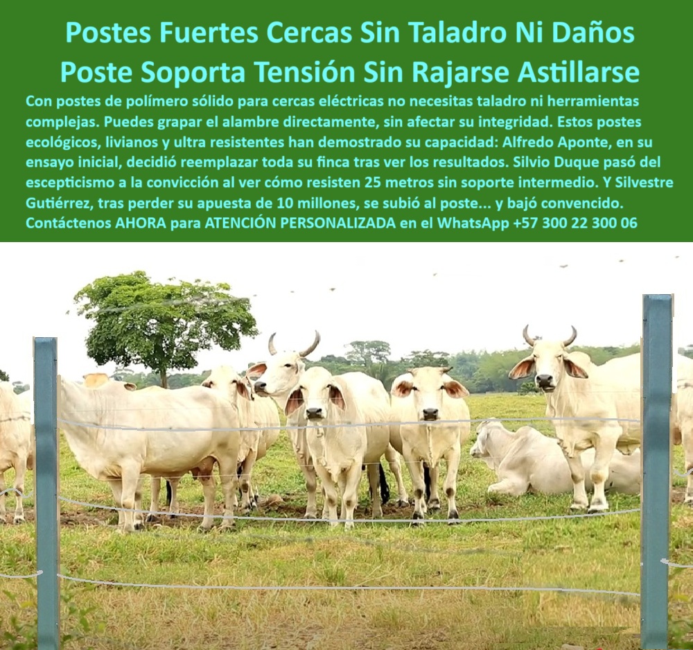 Postes Para División De Potreros Postes Plásticos Sólidos Resistentes Maderplast Línea de cerca con postes sin óxido ni grietas, - Muestrame un poste resistente a tensión sin romperse, - Instalación práctica con postes plásticos duraderos, - poste para cerco eléctrico de alta resistencia, - poste reciclado para ganadería intensiva, - Poste plástico liviano para dividir potreros grandes, - postes ecológicos para cerramientos ganaderos, - poste agrícola duradero y sin corrosión, - poste sin rajaduras para ganadería moderna, - poste sin oxidación para terrenos húmedos, - ¿Cuál poste usar para cerca eléctrica sin taladrar?, - poste para cerca de alambre de púas sin taladro, - Postes plásticos rectos con ganado cebú tras cerca eléctrica, - poste plástico fácil de instalar en finca, - poste-plastico-maderplast-hacienda-piedras-blancas-la-dorada.jpg, - Postes firmes en potrero amplio sin herramientas, - poste-para-grapar-directo, - poste plástico para cercas con pie de amigo, - poste-plástico-25-metros, - Ganado contenido tras cerca con postes sin soporte, - Cercado de potrero sin concreto ni tornillos, - poste que resiste tensión sin astillarse, - poste-liviano-para-ganado, - Poste que se puede grapar directo sin taladro, - poste económico para dividir potreros grandes, - Poste usado en ganadería real en La Dorada, Colombia, - poste-plástico-sin-taladro, - Hacienda ganadera real con postes plásticos Maderplast, - poste reforzado para zonas con alta carga animal, - ¿Dónde hay cercas sin concreto instaladas en Caldas?, - poste dieléctrico para cercas eléctricas rurales, - postes para potreros húmedos sin mantenimiento, - poste para cerca que no se oxida ni pudre, - ¿Poste plástico que aguanta vacas sin mantenimiento?, - poste-polímero-cercas-eléctricas, - Grapado de alambre directo a poste sin taladro, - poste para finca que no necesita pintura, - poste-contra-humedad-e-impacto, - ¿Qué poste reemplaza concreto y madera sin romperse?, - poste para alambrado resistente al clima extremo, - La imagen muestra la Hacienda Piedras Blancas en La Dorada, Caldas, donde fueron instalados postes plásticos Maderplast directamente en terreno, sin necesidad de taladro ni concreto. El alambre de púas fue grapado directo al poste sin causar astillas ni quiebres. Maderplast demuestra su resistencia y durabilidad en condiciones reales, soportando vacas de carga pesada y alambre tenso con 25 metros de separación sin deformarse. Esta es la solución ecológica, técnica y confiable para cercas eléctricas modernas., - postes reciclables para pastoreo rotacional, - poste resistente para dividir potreros grandes, - ¿Qué poste no se astilla ni con tensión de alambre?, - Cerca de potrero firme con postes de polímero reciclado, - postes plásticos para sistemas de conducción agrícola, - poste plástico para cerca eléctrica ganadera, - poste-finca-en-la-dorada, - poste-plástico-firme-para-alambre, - poste plástico que reemplaza la madera y el concreto, - poste-sin-mantenimiento-caldas, - ¿Qué poste aguanta grapa sin partirse?, - poste plástico Maderplast con entrega inmediata, - poste ganadero sin concreto y sin aisladores, - postes para potrero con separación de 25 metros, - Ejemplo visual real de poste plástico Maderplast en finca, - poste-sin-herramientas-de-instalación 0 poste ecológico de potreros, - postes de polímero cercas eléctricas, - Cómo grapar el alambre de púas a poste sin taladro, - Solución comprobada postes Postes Para División De Potreros Postes Plásticos Sólidos Resistentes Maderplast 0 poste ecológico de potreros postes de polímero cercas eléctricas Cómo grapar el alambre de púas a poste sin taladro Solución comprobada postes Línea de cerca con postes sin óxido ni grietas, - Muestrame un poste resistente a tensión sin romperse, - Instalación práctica con postes plásticos duraderos, - poste para cerco eléctrico de alta resistencia, - poste reciclado para ganadería intensiva, - Poste plástico liviano para dividir potreros grandes, - postes ecológicos para cerramientos ganaderos, - poste agrícola duradero y sin corrosión, - poste sin rajaduras para ganadería moderna, - poste sin oxidación para terrenos húmedos, - ¿Cuál poste usar para cerca eléctrica sin taladrar?, - poste para cerca de alambre de púas sin taladro, - Postes plásticos rectos con ganado cebú tras cerca eléctrica, - poste plástico fácil de instalar en finca, - poste-plastico-maderplast-hacienda-piedras-blancas-la-dorada.jpg, - Postes firmes en potrero amplio sin herramientas, - poste-para-grapar-directo, - poste plástico para cercas con pie de amigo, - poste-plástico-25-metros, - Ganado contenido tras cerca con postes sin soporte, - Cercado de potrero sin concreto ni tornillos, - poste que resiste tensión sin astillarse, - poste-liviano-para-ganado, - Poste que se puede grapar directo sin taladro, - poste económico para dividir potreros grandes, - Poste usado en ganadería real en La Dorada, Colombia, - poste-plástico-sin-taladro, - Hacienda ganadera real con postes plásticos Maderplast, - poste reforzado para zonas con alta carga animal, - ¿Dónde hay cercas sin concreto instaladas en Caldas?, - poste dieléctrico para cercas eléctricas rurales, - postes para potreros húmedos sin mantenimiento, - poste para cerca que no se oxida ni pudre, - ¿Poste plástico que aguanta vacas sin mantenimiento?, - poste-polímero-cercas-eléctricas, - Grapado de alambre directo a poste sin taladro, - poste para finca que no necesita pintura, - poste-contra-humedad-e-impacto, - ¿Qué poste reemplaza concreto y madera sin romperse?, - poste para alambrado resistente al clima extremo, - La imagen muestra la Hacienda Piedras Blancas en La Dorada, Caldas, donde fueron instalados postes plásticos Maderplast directamente en terreno, sin necesidad de taladro ni concreto. El alambre de púas fue grapado directo al poste sin causar astillas ni quiebres. Maderplast demuestra su resistencia y durabilidad en condiciones reales, soportando vacas de carga pesada y alambre tenso con 25 metros de separación sin deformarse. Esta es la solución ecológica, técnica y confiable para cercas eléctricas modernas., - postes reciclables para pastoreo rotacional, - poste resistente para dividir potreros grandes, - ¿Qué poste no se astilla ni con tensión de alambre?, - Cerca de potrero firme con postes de polímero reciclado, - postes plásticos para sistemas de conducción agrícola, - poste plástico para cerca eléctrica ganadera, - poste-finca-en-la-dorada, - poste-plástico-firme-para-alambre, - poste plástico que reemplaza la madera y el concreto, - poste-sin-mantenimiento-caldas, - ¿Qué poste aguanta grapa sin partirse?, - poste plástico Maderplast con entrega inmediata, - poste ganadero sin concreto y sin aisladores, - postes para potrero con separación de 25 metros, - Ejemplo visual real de poste plástico Maderplast en finca, - poste-sin-herramientas-de-instalación 0 Postes Para División De Potreros Postes Plásticos Sólidos Resistentes Maderplast 0 poste ecológico de potreros, - postes de polímero cercas eléctricas, - Cómo grapar el alambre de púas a poste sin taladro, - Solución comprobada postes