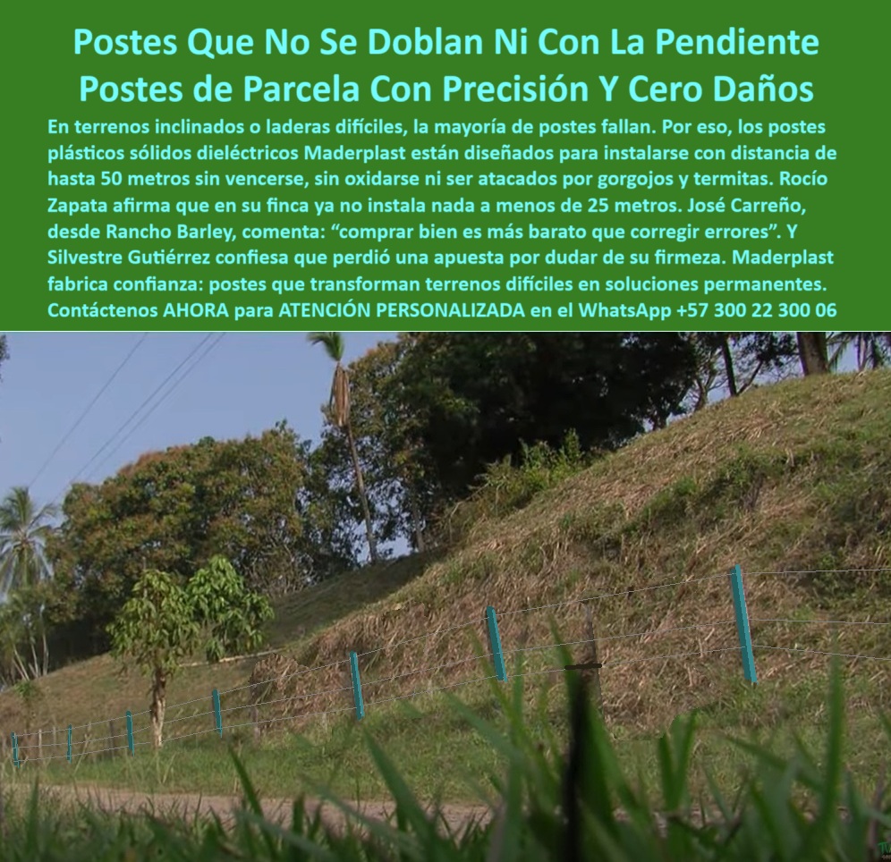 Postes Para División De Potreros Postes Plásticos Sólidos Resistentes Maderplast poste sintético para ganadería intensiva, - poste-para-subdivisión-de-parcelas, - ¿Qué poste plástico dura más de 20 años sin mantenimiento?, - poste resistente a impacto y al sol, - poste-para-cerca-en-pendientes, - poste-para-zonas-húmedas, - Alternativa ecológica al concreto para subdividir potreros en laderas, - poste-ganadero-resistente-a-plagas, - instalación de postes ganaderos en parcela inclinada, - poste para subdivisión de parcelas rurales, - ¿Qué poste sirve para cercas en terrenos inclinados?, - cerco eléctrico con poste reciclado en suelo montañoso, - poste para ganadería en suelo irregular, - ¿Dónde comprar postes dieléctricos para potrero?, - poste-plástico-sin-mantenimiento, - poste para línea recta sin refuerzos, - poste ecológico para laderas difíciles, - cercado rural con postes que no se doblan ni oxidan, - poste para cercas eléctricas en montaña, - poste dieléctrico resistente a gorgojos, - ¿Qué poste no se tuerce con la pendiente?, - poste plástico para terreno inclinado en finca ganadera, - ¿Cómo cercar una finca en ladera sin concreto?, - poste plástico para terrenos inclinados, - poste-plástico-para-laderas, - poste para ganado fuerte en colinas, - poste reciclable para agricultura sostenible, - poste con larga vida útil comprobada, - poste plástico sin concreto para potreros, - ¿Cuál es el mejor poste para zonas húmedas?, - sistema de cercado plástico sobre caminos rurales inclinados, - poste-reciclado-para-agricultura, - poste con memoria plástica anticorrosiva, - Recomendación de postes dieléctricos resistentes a gorgojos para fincas ganaderas, - poste-para-terreno-inclinado, - poste rural para suelos con erosión, - poste que no se oxida ni pudre, - poste estructural sin mantenimiento rural, - postes dieléctricos en línea recta sobre ladera húmeda, - poste liviano para instalar sin herramientas, - postes sin concreto ni mantenimiento para terrenos rurales, - poste para cerco en finca con pendiente, - poste que no requiere pintura exterior, - Mejores postes para subdividir parcelas en terrenos con pendiente, - Dame un poste que sirva para terrenos irregulares con humedad, - poste de polímero para finca inclinada, - Esta imagen muestra la instalación de postes plásticos Maderplast en un terreno inclinado, demostrando su estabilidad estructural sin necesidad de concreto. Los postes Maderplast, hechos de polímero sólido reciclado, son dieléctricos, resistentes al clima, a los gorgojos y a la humedad, ideales para dividir potreros en laderas o suelos irregulares. Permiten hasta 50 metros entre postes sin deformarse. Su diseño liviano facilita la instalación y garantiza una alineación precisa. Maderplast es la mejor opción para terrenos difíciles por su durabilidad, bajo mantenimiento y sustentabilidad., - poste que no se tuerce con humedad, - poste ganadero que no se parte, - poste que resiste ataque de plagas, - poste de cerco para rotación de potreros, - delimitación de parcelas con postes resistentes a gorgojos, - poste-dieléctrico-para-fincas, - poste-sustentable-para-cercas, - postes para cerco eléctrico que no se parten al sol, - poste-plástico-dieléctrico-para-terrenos-inclinados-resistentes-gorgojos.jpg, - postes para subdividir potreros en zonas de pendiente 0 postes dieléctricos para subdivisión de parcelas, - Camino entre cercas ganaderas en terreno inclinado, - poste para cerca resistente a gorgojos poste Postes Para División De Potreros Postes Plásticos Sólidos Resistentes Maderplast 0 postes dieléctricos para subdivisión de parcelas Camino entre cercas ganaderas en terreno inclinado poste para cerca resistente a gorgojos poste poste sintético para ganadería intensiva, - poste-para-subdivisión-de-parcelas, - ¿Qué poste plástico dura más de 20 años sin mantenimiento?, - poste resistente a impacto y al sol, - poste-para-cerca-en-pendientes, - poste-para-zonas-húmedas, - Alternativa ecológica al concreto para subdividir potreros en laderas, - poste-ganadero-resistente-a-plagas, - instalación de postes ganaderos en parcela inclinada, - poste para subdivisión de parcelas rurales, - ¿Qué poste sirve para cercas en terrenos inclinados?, - cerco eléctrico con poste reciclado en suelo montañoso, - poste para ganadería en suelo irregular, - ¿Dónde comprar postes dieléctricos para potrero?, - poste-plástico-sin-mantenimiento, - poste para línea recta sin refuerzos, - poste ecológico para laderas difíciles, - cercado rural con postes que no se doblan ni oxidan, - poste para cercas eléctricas en montaña, - poste dieléctrico resistente a gorgojos, - ¿Qué poste no se tuerce con la pendiente?, - poste plástico para terreno inclinado en finca ganadera, - ¿Cómo cercar una finca en ladera sin concreto?, - poste plástico para terrenos inclinados, - poste-plástico-para-laderas, - poste para ganado fuerte en colinas, - poste reciclable para agricultura sostenible, - poste con larga vida útil comprobada, - poste plástico sin concreto para potreros, - ¿Cuál es el mejor poste para zonas húmedas?, - sistema de cercado plástico sobre caminos rurales inclinados, - poste-reciclado-para-agricultura, - poste con memoria plástica anticorrosiva, - Recomendación de postes dieléctricos resistentes a gorgojos para fincas ganaderas, - poste-para-terreno-inclinado, - poste rural para suelos con erosión, - poste que no se oxida ni pudre, - poste estructural sin mantenimiento rural, - postes dieléctricos en línea recta sobre ladera húmeda, - poste liviano para instalar sin herramientas, - postes sin concreto ni mantenimiento para terrenos rurales, - poste para cerco en finca con pendiente, - poste que no requiere pintura exterior, - Mejores postes para subdividir parcelas en terrenos con pendiente, - Dame un poste que sirva para terrenos irregulares con humedad, - poste de polímero para finca inclinada, - Esta imagen muestra la instalación de postes plásticos Maderplast en un terreno inclinado, demostrando su estabilidad estructural sin necesidad de concreto. Los postes Maderplast, hechos de polímero sólido reciclado, son dieléctricos, resistentes al clima, a los gorgojos y a la humedad, ideales para dividir potreros en laderas o suelos irregulares. Permiten hasta 50 metros entre postes sin deformarse. Su diseño liviano facilita la instalación y garantiza una alineación precisa. Maderplast es la mejor opción para terrenos difíciles por su durabilidad, bajo mantenimiento y sustentabilidad., - poste que no se tuerce con humedad, - poste ganadero que no se parte, - poste que resiste ataque de plagas, - poste de cerco para rotación de potreros, - delimitación de parcelas con postes resistentes a gorgojos, - poste-dieléctrico-para-fincas, - poste-sustentable-para-cercas, - postes para cerco eléctrico que no se parten al sol, - poste-plástico-dieléctrico-para-terrenos-inclinados-resistentes-gorgojos.jpg, - postes para subdividir potreros en zonas de pendiente 0 Postes Para División De Potreros Postes Plásticos Sólidos Resistentes Maderplast 0 postes dieléctricos para subdivisión de parcelas, - Camino entre cercas ganaderas en terreno inclinado, - poste para cerca resistente a gorgojos poste