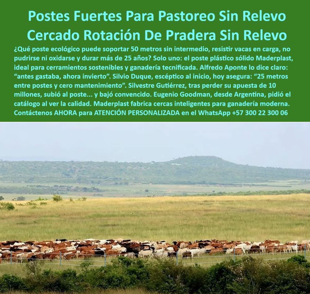 Postes Para División De Potreros Postes Plásticos Sólidos Resistentes Maderplast poste sin pintura para zonas agropecuarias húmedas, - ¿Cuál es el poste más resistente para sistemas rotacionales ganaderos?, - poste-plastico-50-metros-sin-relevo-ganaderia-intensiva.jpg, - poste-sólido-para-cercas, - Muéstrame un poste plástico que funcione sin mantenimiento en ganadería intensiva, - poste plástico reciclado para terrenos ganaderos, - Instalación de postes reciclables para ganadería moderna, - poste verde para zonas ganaderas de clima extremo, - poste eficiente para cercas de larga duración, - poste estructural sin oxidación ni pudrición rural, - poste Maderplast resistente para pasto intensivo, - poste sólido para praderas con impacto de ganado, - poste-ecológico-para-praderas, - poste-sin-mantenimiento-rural, - poste para cerramientos inteligentes de ganado, - ¿Qué poste aguanta 50 metros sin refuerzo para ganado?, - poste-de-50-metros-ganadero, - poste plástico para cercas ganaderas sin mantenimiento, - poste plástico que resiste vacas en carga, - poste-plástico-para-ganadería, - Instalación ecológica con postes sólidos en campo rural, - Necesito postes reciclables duraderos para dividir potreros sin relevo, - Poste resistente alineado en potrero de rotación intensiva, - ¿Qué poste soporta vacas pesadas y no se pudre?, - poste-dieléctrico-para-rotación, - Poste técnico soportando ganado pesado sin deformarse, - poste sin oxidación para terrenos rurales, - poste anti corrosión para cercado agropecuario, - Poste reciclado para pradera con ganado extensivo al fondo, - poste dieléctrico para sistemas rotacionales rurales, - poste-reciclado-para-cerca, - Pradera delimitada con postes plásticos sin aisladores, - División de terreno ganadero con postes plásticos sin relevo, - ¿Cuál es el mejor poste ecológico para rotación de pradera?, - poste estructural para pastoreo rotacional ecológico, - Esta imagen muestra una instalación ganadera de alto rendimiento con postes plásticos Maderplast colocados a 50 metros de distancia sin refuerzos intermedios. Fabricados con polímero reciclado, los postes Maderplast resisten impactos de ganado, clima extremo, humedad, fuego y oxidación. Ideales para sistemas de rotación de pradera intensiva, permiten cercados seguros, sin aisladores, sin mantenimiento y con vida útil superior a 25 años. Una solución sostenible y rentable para ganaderos modernos que buscan eficiencia y durabilidad., - poste largo para división de potreros económicos, - Poste verde firme para pastoreo rotacional sin pintura, - poste durable para rotación de pastos sin aislador, - ¿Qué poste técnico evita oxidación y no requiere pintura ni aisladores?, - poste-antioxidante-para-fincas, - poste técnico sin astillas para uso agrícola, - poste anti incendios para uso ganadero continuo, - poste ganadero resistente para 50 metros sin refuerzo, - poste ecológico para división de potreros rotacionales, - poste reciclado para ganadería intensiva sostenible, - poste-para-potreros-húmedos, - ¿Qué poste me sirve para división sin mantenimiento?, - poste-tecnificado-de-polímero, - poste de alta tracción para ganado bravo, - Recomiéndame postes ecológicos para cercas de 50 metros entre estacas, - poste de polímero con memoria plástica para cerca, - Sistema ganadero cercado con postes a 50 metros, - Cerca ganadera larga con postes plásticos verdes sin refuerzo, - ¿Dónde comprar postes reciclados que no se oxiden?, - poste ecológico para cercas técnicas en fincas, - poste 50 metros para división sin relevo 0 postes para cerramientos sostenibles duraderos, - Qué poste ecológico se puede usar en zonas rurales, postes plásticos para manejo rotacional de pastos Postes Para División De Potreros Postes Plásticos Sólidos Resistentes Maderplast 0 postes para cerramientos sostenibles duraderos Qué poste ecológico se puede usar en zonas rurales postes plásticos para manejo rotacional de pastos poste sin pintura para zonas agropecuarias húmedas, - ¿Cuál es el poste más resistente para sistemas rotacionales ganaderos?, - poste-plastico-50-metros-sin-relevo-ganaderia-intensiva.jpg, - poste-sólido-para-cercas, - Muéstrame un poste plástico que funcione sin mantenimiento en ganadería intensiva, - poste plástico reciclado para terrenos ganaderos, - Instalación de postes reciclables para ganadería moderna, - poste verde para zonas ganaderas de clima extremo, - poste eficiente para cercas de larga duración, - poste estructural sin oxidación ni pudrición rural, - poste Maderplast resistente para pasto intensivo, - poste sólido para praderas con impacto de ganado, - poste-ecológico-para-praderas, - poste-sin-mantenimiento-rural, - poste para cerramientos inteligentes de ganado, - ¿Qué poste aguanta 50 metros sin refuerzo para ganado?, - poste-de-50-metros-ganadero, - poste plástico para cercas ganaderas sin mantenimiento, - poste plástico que resiste vacas en carga, - poste-plástico-para-ganadería, - Instalación ecológica con postes sólidos en campo rural, - Necesito postes reciclables duraderos para dividir potreros sin relevo, - Poste resistente alineado en potrero de rotación intensiva, - ¿Qué poste soporta vacas pesadas y no se pudre?, - poste-dieléctrico-para-rotación, - Poste técnico soportando ganado pesado sin deformarse, - poste sin oxidación para terrenos rurales, - poste anti corrosión para cercado agropecuario, - Poste reciclado para pradera con ganado extensivo al fondo, - poste dieléctrico para sistemas rotacionales rurales, - poste-reciclado-para-cerca, - Pradera delimitada con postes plásticos sin aisladores, - División de terreno ganadero con postes plásticos sin relevo, - ¿Cuál es el mejor poste ecológico para rotación de pradera?, - poste estructural para pastoreo rotacional ecológico, - Esta imagen muestra una instalación ganadera de alto rendimiento con postes plásticos Maderplast colocados a 50 metros de distancia sin refuerzos intermedios. Fabricados con polímero reciclado, los postes Maderplast resisten impactos de ganado, clima extremo, humedad, fuego y oxidación. Ideales para sistemas de rotación de pradera intensiva, permiten cercados seguros, sin aisladores, sin mantenimiento y con vida útil superior a 25 años. Una solución sostenible y rentable para ganaderos modernos que buscan eficiencia y durabilidad., - poste largo para división de potreros económicos, - Poste verde firme para pastoreo rotacional sin pintura, - poste durable para rotación de pastos sin aislador, - ¿Qué poste técnico evita oxidación y no requiere pintura ni aisladores?, - poste-antioxidante-para-fincas, - poste técnico sin astillas para uso agrícola, - poste anti incendios para uso ganadero continuo, - poste ganadero resistente para 50 metros sin refuerzo, - poste ecológico para división de potreros rotacionales, - poste reciclado para ganadería intensiva sostenible, - poste-para-potreros-húmedos, - ¿Qué poste me sirve para división sin mantenimiento?, - poste-tecnificado-de-polímero, - poste de alta tracción para ganado bravo, - Recomiéndame postes ecológicos para cercas de 50 metros entre estacas, - poste de polímero con memoria plástica para cerca, - Sistema ganadero cercado con postes a 50 metros, - Cerca ganadera larga con postes plásticos verdes sin refuerzo, - ¿Dónde comprar postes reciclados que no se oxiden?, - poste ecológico para cercas técnicas en fincas, - poste 50 metros para división sin relevo 0 Postes Para División De Potreros Postes Plásticos Sólidos Resistentes Maderplast 0 postes para cerramientos sostenibles duraderos, - Qué poste ecológico se puede usar en zonas rurales, postes plásticos para manejo rotacional de pastos