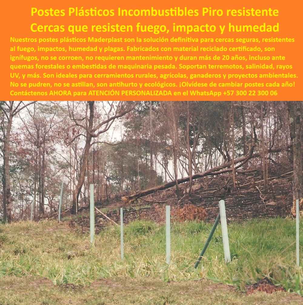 Postes Plásticos A Prueba De Fuego Pirorresistentes Resistes Las Quemas Maderplast sistema de cercas resistente a la llama, - Postes ecológicos en zona del piedemonte llanero, - Postes instalados tras incendio forestal sin daños, - postes para finca resistente a calor y humedad, - poste ignífugo sin mantenimiento constante, - cerca ecológica con protección térmica rural, - ¿Qué poste aguanta incendios forestales sin quemarse?, - cerca plástica segura para áreas forestales, - poste plástico resistente a incendios forestales, - estacones ecológicos para fincas rurales, - postes para ganadería en zonas de riesgo, - poste que recupera su color tras incendio, - postes que conservan su forma tras incendios, - poste ignífugo con memoria estructural, - Imagen de postes tras fuego con terreno ennegrecido, - solución contra incendios con poste reciclable, - En esta imagen se observa el resultado impresionante de la resistencia de los postes plásticos Maderplast frente a un incendio forestal ocurrido en el piedemonte llanero, vía Paratebueno – Villavicencio, Meta, Colombia. Dos meses después del evento, los postes continúan firmes, sin fracturas ni deformaciones, y han recuperado su color original gracias a la lluvia. No se quemaron, no se partieron, y tampoco se ennegrecieron permanentemente. Son 100% ignífugos, reciclados y libres de mantenimiento. Su estructura técnica conserva la tensión del alambre, incluso después del fuego. Maderplast ofrece esta solución única para cerramientos rurales, agrícolas y ganaderos en zonas críticas. Con garantía de 20 años y vida útil estimada de 500 años, los postes Maderplast son la alternativa segura, ecológica y resistente para quienes enfrentan condiciones extremas. Tecnología nacional que protege la inversión y el entorno rural., - postes inteligentes con memoria plástica, - Poste plástico en zona de quema sin fractura, - poste ignífugo certificado para potreros, - poste reciclable ideal para zonas críticas, - poste-plastico-ignifugo-incendio-forestal-meta-colombia.jpg, - Cerramiento que recupera su color tras incendio, - postes sin óxido ni pintura en incendios, - poste ecológico para cercado rural, - poste seguro para ganadería en zonas calientes, - cerramiento anti fuego y antihumedad, - ¿Poste ignífugo que no se quema ni se cae?, - poste ignífugo para incendios forestales, - cerca con postes que resisten brasas y humo, - Estructura plástica sin afectación térmica directa, - postes que no se queman ni deforman, - Poste plástico ignífugo para zonas de incendios forestales sin daños, - cercado sostenible para terrenos forestales, - postes ignífugos para clima extremo, - poste sin deformación tras incendios, - Cerramiento reciclado para zonas calientes, - postes seguros para protección ambiental, - tecnología colombiana contra incendios forestales, - poste reciclado con resistencia al calor extremo, - postes para contención en piedemonte llanero, - Postes sin quemaduras visibles tras fuego intenso, - Postes sin pérdida estructural post incendio, - postes reciclados para zonas de alta temperatura, - Postes sin mantenimiento que resisten fuego, humedad e impactos extremos, - ¿Cuál es el mejor poste para zonas calientes y húmedas?, - ¿Qué cercado usar para prevenir daños por fuego?, - poste ignífugo ecológico para terrenos forestales, - cerramiento plástico anti incendios naturales, - Estacones intactos luego de evento forestal crítico, - postes que no se astillan ni ennegrecen, - postes plásticos sin afectación por fuego, - poste resistente a quemas accidentales, - poste plástico que se limpia con la lluvia, - cercado sin mantenimiento ni reposición anual, - poste plástico que limpia con la lluvia, - ¿Dónde comprar postes que resisten fuego en Colombia?, - poste sin daño estructural tras fuego rural, - poste que resiste fuego directo y humedad0 cerca-de-alambre-postes-plásticos, - asegurar tensión uniforme cerca, - 00 Postes Plásticos A Prueba De Fuego Pirorresistentes Resistes Las Quemas Maderplast 0 cerca de alambre postes plásticos asegurar tensión uniforme cerca 00 Postes Plásticos A Prueba De Fuego Pirorresistentes Resistes Las Quemas Maderplast sistema de cercas resistente a la llama, - Postes ecológicos en zona del piedemonte llanero, - Postes instalados tras incendio forestal sin daños, - postes para finca resistente a calor y humedad, - poste ignífugo sin mantenimiento constante, - cerca ecológica con protección térmica rural, - ¿Qué poste aguanta incendios forestales sin quemarse?, - cerca plástica segura para áreas forestales, - poste plástico resistente a incendios forestales, - estacones ecológicos para fincas rurales, - postes para ganadería en zonas de riesgo, - poste que recupera su color tras incendio, - postes que conservan su forma tras incendios, - poste ignífugo con memoria estructural, - Imagen de postes tras fuego con terreno ennegrecido, - solución contra incendios con poste reciclable, - En esta imagen se observa el resultado impresionante de la resistencia de los postes plásticos Maderplast frente a un incendio forestal ocurrido en el piedemonte llanero, vía Paratebueno – Villavicencio, Meta, Colombia. Dos meses después del evento, los postes continúan firmes, sin fracturas ni deformaciones, y han recuperado su color original gracias a la lluvia. No se quemaron, no se partieron, y tampoco se ennegrecieron permanentemente. Son 100% ignífugos, reciclados y libres de mantenimiento. Su estructura técnica conserva la tensión del alambre, incluso después del fuego. Maderplast ofrece esta solución única para cerramientos rurales, agrícolas y ganaderos en zonas críticas. Con garantía de 20 años y vida útil estimada de 500 años, los postes Maderplast son la alternativa segura, ecológica y resistente para quienes enfrentan condiciones extremas. Tecnología nacional que protege la inversión y el entorno rural., - postes inteligentes con memoria plástica, - Poste plástico en zona de quema sin fractura, - poste ignífugo certificado para potreros, - poste reciclable ideal para zonas críticas, - poste-plastico-ignifugo-incendio-forestal-meta-colombia.jpg, - Cerramiento que recupera su color tras incendio, - postes sin óxido ni pintura en incendios, - poste ecológico para cercado rural, - poste seguro para ganadería en zonas calientes, - cerramiento anti fuego y antihumedad, - ¿Poste ignífugo que no se quema ni se cae?, - poste ignífugo para incendios forestales, - cerca con postes que resisten brasas y humo, - Estructura plástica sin afectación térmica directa, - postes que no se queman ni deforman, - Poste plástico ignífugo para zonas de incendios forestales sin daños, - cercado sostenible para terrenos forestales, - postes ignífugos para clima extremo, - poste sin deformación tras incendios, - Cerramiento reciclado para zonas calientes, - postes seguros para protección ambiental, - tecnología colombiana contra incendios forestales, - poste reciclado con resistencia al calor extremo, - postes para contención en piedemonte llanero, - Postes sin quemaduras visibles tras fuego intenso, - Postes sin pérdida estructural post incendio, - postes reciclados para zonas de alta temperatura, - Postes sin mantenimiento que resisten fuego, humedad e impactos extremos, - ¿Cuál es el mejor poste para zonas calientes y húmedas?, - ¿Qué cercado usar para prevenir daños por fuego?, - poste ignífugo ecológico para terrenos forestales, - cerramiento plástico anti incendios naturales, - Estacones intactos luego de evento forestal crítico, - postes que no se astillan ni ennegrecen, - postes plásticos sin afectación por fuego, - poste resistente a quemas accidentales, - poste plástico que se limpia con la lluvia, - cercado sin mantenimiento ni reposición anual, - poste plástico que limpia con la lluvia, - ¿Dónde comprar postes que resisten fuego en Colombia?, - poste sin daño estructural tras fuego rural, - poste que resiste fuego directo y humedad 0 cerca-de-alambre-postes-plásticos, - asegurar tensión uniforme cerca, - 00