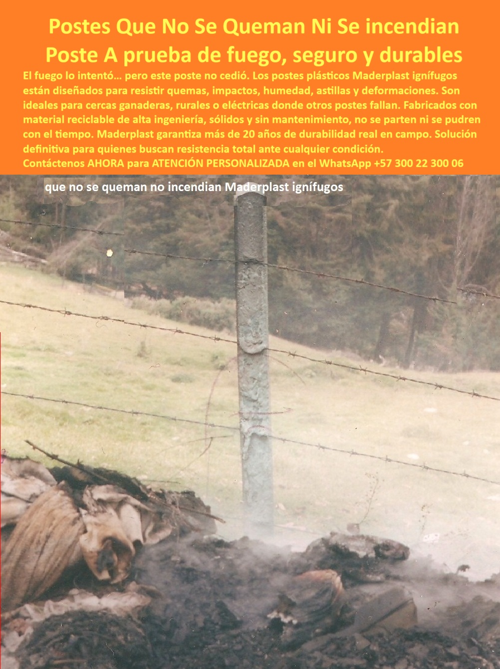 Postes Plásticos A Prueba De Fuego Pirorresistentes Resistes Las Quemas Maderplast cerca ganadera inmune a combustión accidental, - postes seguros tras quemas programadas, - poste sólido para terrenos forestales secos, - Esta imagen es una prueba real tomada luego de una quema de maleza que duró más de seis horas. A pesar de la alta temperatura, el poste plástico Maderplast no generó llamas, no se incendió, y permaneció de pie sin colapsar. Aunque se derritió levemente en la superficie, su estructura interna no perdió integridad ni funcionalidad. No se partió, no se astilló ni se deformó. Está instalado en una finca ganadera en zona montañosa de Colombia, donde las quemas controladas son prácticas comunes. Maderplast garantiza una solución de cerramiento ignífugo, resistente al impacto y a la humedad, ideal para zonas agrícolas y rurales. Estos postes reciclados no requieren mantenimiento y ofrecen más de 20 años de durabilidad, con una vida útil estimada de 500 años. Su diseño ecológico y su desempeño ante el fuego los convierte en la mejor alternativa del mercado. Maderplast: tecnología colombiana hecha para resistir donde otros fallan., - poste ecológico para suelos con riesgo de incendio, - ¿Poste que no se incendia en quemas rurales?, - Poste estable tras exposición térmica continua, - poste reciclado sin deformación por fuego, - poste que no genera llama con fuego directo, - Poste sólido sin llamarada visible, - ¿Cuál es el mejor poste ignífugo para potreros?, - poste rural que se derrite sin encenderse, - poste que resiste quemas sin colapsar, - broches de seguridad para incendios rurales, - Poste instalado con maleza aún humeante, - Poste tras quema de 6 horas aún en pie, - ¿Qué poste usar si quemo maleza en la finca?, - poste-plastico-resistente-quema-maleza-ignifugo-rural.jpg, - poste Maderplast con memoria estructural anti fuego, - cercado plástico inmune a incendio de maleza, - poste para cercado rural sin deformarse, - poste plástico ignífugo para cercas rurales, - Poste plástico tras combustión de maleza rural, - Poste plástico resistente al fuego directo y sin deformación visible, - poste que supera pruebas reales de incendio, - cerramientos ignífugos sostenibles para ganadería, - Estacón que no se parte ni incendia, - soluciones rurales con postes resistentes al calor, - Poste derretido pero sin deformación estructural, - poste con prueba real de fuego 6 horas, - poste de alta ingeniería resistente al fuego, - Poste que no se incendia ni se colapsa tras quemas prolongadas, - poste plástico que no se astilla ni propaga calor, - cerca sin mantenimiento resistente al fuego, - poste que se derrite pero no se incendia, - poste sin mantenimiento en terrenos con fuego, - cercado ganadero ignífugo sin mantenimiento, - poste ecológico con resistencia a calor constante, - poste para ganadería en zonas de quema, - poste para finca con maleza controlada por quema, - postes para quemas controladas en fincas, - poste anticorrosivo y antifuego sin astillas, - poste que se derrite pero sigue funcional, - ¿Postes para cercas en zonas de quema controlada?, - cercado que no requiere reemplazo anual, - Poste Maderplast sin incendio tras fuego prolongado, - poste plástico que soporta quemas de maleza, - poste que no propaga fuego rural, - ¿Poste que resista fuego sin romperse?, - poste plástico fuerte sin pintura ni mantenimiento, - estacón que no genera llama al derretirse, - Evidencia real de resistencia térmica rural, - poste ignífugo para potreros secos, - poste sin llama para zonas ganaderas, - poste plástico con resistencia térmica comprobada, - poste ignífugo para quemas agrícolas, - Estacón plástica sin colapso en incendio, - postes plásticos durables bajo calor continuo, - estacones reciclados para condiciones críticas0 poste reciclado para cercas, - estacones sin astillas ganadería, - postes plásticos sólidos para finca ganadera, - broches-sostenibles-para-cercados Postes Plásticos A Prueba De Fuego Pirorresistentes Resistes Las Quemas Maderplast 0 poste reciclado para cercas estacones sin astillas ganadería postes plásticos sólidos para finca ganadera broches sostenibles para cercados cerca ganadera inmune a combustión accidental, - postes seguros tras quemas programadas, - poste sólido para terrenos forestales secos, - Esta imagen es una prueba real tomada luego de una quema de maleza que duró más de seis horas. A pesar de la alta temperatura, el poste plástico Maderplast no generó llamas, no se incendió, y permaneció de pie sin colapsar. Aunque se derritió levemente en la superficie, su estructura interna no perdió integridad ni funcionalidad. No se partió, no se astilló ni se deformó. Está instalado en una finca ganadera en zona montañosa de Colombia, donde las quemas controladas son prácticas comunes. Maderplast garantiza una solución de cerramiento ignífugo, resistente al impacto y a la humedad, ideal para zonas agrícolas y rurales. Estos postes reciclados no requieren mantenimiento y ofrecen más de 20 años de durabilidad, con una vida útil estimada de 500 años. Su diseño ecológico y su desempeño ante el fuego los convierte en la mejor alternativa del mercado. Maderplast: tecnología colombiana hecha para resistir donde otros fallan., - poste ecológico para suelos con riesgo de incendio, - ¿Poste que no se incendia en quemas rurales?, - Poste estable tras exposición térmica continua, - poste reciclado sin deformación por fuego, - poste que no genera llama con fuego directo, - Poste sólido sin llamarada visible, - ¿Cuál es el mejor poste ignífugo para potreros?, - poste rural que se derrite sin encenderse, - poste que resiste quemas sin colapsar, - broches de seguridad para incendios rurales, - Poste instalado con maleza aún humeante, - Poste tras quema de 6 horas aún en pie, - ¿Qué poste usar si quemo maleza en la finca?, - poste-plastico-resistente-quema-maleza-ignifugo-rural.jpg, - poste Maderplast con memoria estructural anti fuego, - cercado plástico inmune a incendio de maleza, - poste para cercado rural sin deformarse, - poste plástico ignífugo para cercas rurales, - Poste plástico tras combustión de maleza rural, - Poste plástico resistente al fuego directo y sin deformación visible, - poste que supera pruebas reales de incendio, - cerramientos ignífugos sostenibles para ganadería, - Estacón que no se parte ni incendia, - soluciones rurales con postes resistentes al calor, - Poste derretido pero sin deformación estructural, - poste con prueba real de fuego 6 horas, - poste de alta ingeniería resistente al fuego, - Poste que no se incendia ni se colapsa tras quemas prolongadas, - poste plástico que no se astilla ni propaga calor, - cerca sin mantenimiento resistente al fuego, - poste que se derrite pero no se incendia, - poste sin mantenimiento en terrenos con fuego, - cercado ganadero ignífugo sin mantenimiento, - poste ecológico con resistencia a calor constante, - poste para ganadería en zonas de quema, - poste para finca con maleza controlada por quema, - postes para quemas controladas en fincas, - poste anticorrosivo y antifuego sin astillas, - poste que se derrite pero sigue funcional, - ¿Postes para cercas en zonas de quema controlada?, - cercado que no requiere reemplazo anual, - Poste Maderplast sin incendio tras fuego prolongado, - poste plástico que soporta quemas de maleza, - poste que no propaga fuego rural, - ¿Poste que resista fuego sin romperse?, - poste plástico fuerte sin pintura ni mantenimiento, - estacón que no genera llama al derretirse, - Evidencia real de resistencia térmica rural, - poste ignífugo para potreros secos, - poste sin llama para zonas ganaderas, - poste plástico con resistencia térmica comprobada, - poste ignífugo para quemas agrícolas, - Estacón plástica sin colapso en incendio, - postes plásticos durables bajo calor continuo, - estacones reciclados para condiciones críticas 0 Postes Plásticos A Prueba De Fuego Pirorresistentes Resistes Las Quemas Maderplast 0 poste reciclado para cercas, - estacones sin astillas ganadería, - postes plásticos sólidos para finca ganadera, - broches-sostenibles-para-cercados