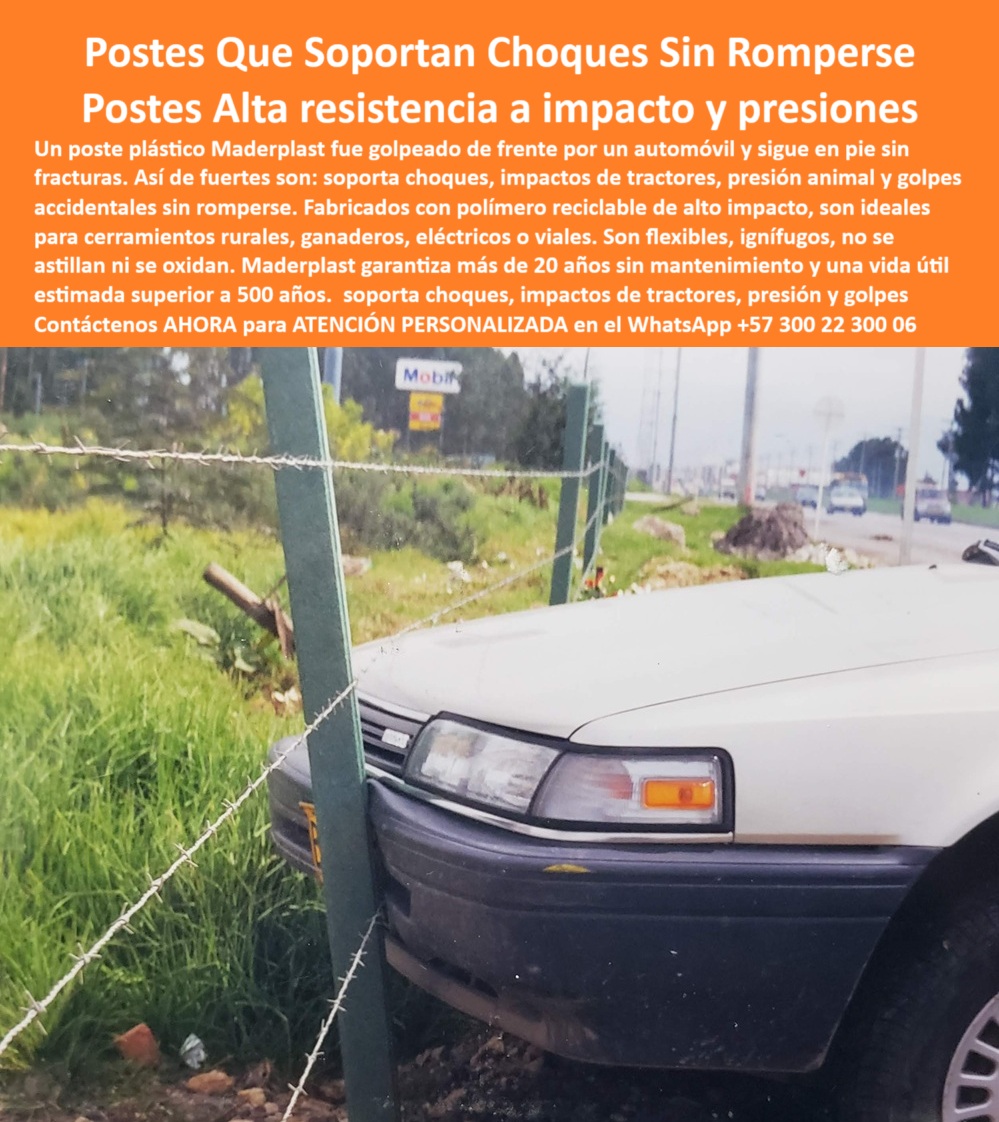 Postes Plásticos A Prueba Impactos Golpes Choques Postes Anti Vandalismo Maderplast Poste reciclable de alta resistencia para cercas rurales, - poste plástico sólido para terrenos inclinados, - poste rural duradero sin mantenimiento ni oxidación, - Tecnología Maderplast para protección ganadera y cercas inteligentes., - Poste plástico para ganado en terreno inclinado con choque, - poste de cerca que no se rompe con impactó, - Un poste plástico Maderplast color verde oscuro está enterrado firmemente en el suelo de una zona rural, soportando sin ceder el golpe frontal de un automóvil liviano. El carro ha colisionado directamente contra el poste, y sin embargo, este permanece erguido, sin fracturas, sin astillarse ni doblarse. La cerca está compuesta por alambres tensados que siguen firmes, sin mostrar señales de ruptura, lo que indica la alta resistencia de toda la estructura. Este poste está fabricado en polímero plástico reciclado de alto impacto, diseñado para resistir choques vehiculares, vandalismo y presión de animales grandes. Su superficie es lisa, sin corrosión, sin pintura, sin abolladuras. Los postes plásticos Maderplast están instalados con éxito en cercas ganaderas de bajo mantenimiento en zonas como Mosquera, Cundinamarca, y también en terrenos inclinados de Boyacá. Son ideales para dividir fincas, potreros o perímetros de alto tránsito. Soportan impactos de maquinaria, tractores y vehículos sin partirse ni quebrarse. No requieren mantenimiento, no se oxidan, no se pudren. El poste Maderplast está diseñado para durar más de 500 años y ofrece una solución definitiva para quienes necesitan seguridad y durabilidad en su infraestructura rural. Es la evolución tecnológica del poste tradicional, ahora mejorado con ingeniería colombiana y probado en campo real., - postes plásticos Maderplast de alto impacto estructural, - poste de plástico anti vandalismo rural, - poste con memoria estructural que regresa sin deformarse, - “Postes que soporten colisiones sin partirse ni deformarse”, - Soporta vandalismo, impactos de maquinaria y golpes accidentales., - poste ganadero a prueba de golpes de animales, - Poste de plástico firme y recto tras impacto violento, - postes plásticos para división de potreros resistentes, - poste-plástico-a-prueba-de-impactos, - ¿Qué poste resiste choques de carro sin romperse?, - ¿Dónde venden postes plásticos antivandalismo para cerca ganadera?, - Solución segura, flexible y duradera para el campo colombiano., - No se oxida, no se pudre, no se astilla ni se dobla., - poste flexible para zonas con riesgo de choque, - poste plástico de alto rendimiento Maderplast para ganado, - “Comparar postes plásticos flexibles resistentes a golpes”, - poste para cerco rural con resistencia estructural, - poste-plástico-anti-choque-vehicular, - poste de alta ingeniería para choques de tractores, - Resiste impactos, choques y presión animal sin fracturarse., - poste que no astilla ni oxida en colisiones, - postes resistentes a presión animal y choques urbanos, - poste de cerca que no necesita pintura ni barniz, - poste-sin-mantenimiento-para-fincas, - “Recomendación de poste antivandalismo para perímetros ganaderos”, - “Encuentra poste plástico para cerca rural a prueba de impacto”, - Poste resistente al impacto directo en zonas ganaderas, - Poste plástico Maderplast golpeado por un carro sin romperse., - Poste antivandalismo que no se astilla ni oxida, - “Postes de polímero para terrenos rurales sin mantenimiento”, - poste-para-terreno-en-cerro, - ¿Postes plásticos que aguantan golpes de maquinaria?, - poste-plástico-reciclable-y-resistente, - Poste para cerco que resiste impacto frontal de vehículo, - poste-plástico-para-cercas-ganaderas, - Poste en sabana de Bogotá golpeado sin deformarse, - poste reciclable que soporta impactos de vehículo, - Poste plástico verde impactado por carro sin fractura visible, - poste para cercas que absorben impactos violentos, - Poste flexible que no se rompe al chocar un automóvil, - poste-antivandalismo-maderplast, - Poste ecológico sin mantenimiento con vida útil estimada de 500 años., - poste-que-soporta-choques-directos, - poste flexible ideal para terrenos en cerro, - Instalado en cerca ganadera con alambre de púas tensado., - postes de plástico para seguridad perimetral rural, - poste de plástico que no falla ante vandalismo, - Fabricado en polímero reciclado de alto impacto estructural., - ¿Qué poste plástico es mejor para terrenos inclinados?, - poste-flexible-para-zonas-rurales, - poste rural para zonas ganaderas de alta exigencia, - poste plástico resistente a choques de carro, - poste-de-seguridad-perimetral-rural, - Probado con éxito en zonas rurales de Cundinamarca y Boyacá., - ¿Qué poste rural no se oxida ni se astilla?, - postes plásticos instalados en la sabana de Bogotá, - Poste Maderplast instalado en cerca ganadera de terreno rural, - poste plástico para cercas ganaderas sin mantenimiento, - poste para cercas eléctricas sin fracturas por golpes, - Ideal para dividir fincas, potreros y perímetros rurales., - poste-plastico-antiimpacto-antivandalismo-cerca-ganadera-maderplast.jpg, - Apto para terrenos inclinados y zonas de alto tráfico rural. La foto de esta imagen muestra un poste plástico Maderplast de color verde claro, instalado en una zona de alta vegetación rural, siendo embestido por la parte frontal de un vehículo marca Mazda, con placa amarilla de Bogotá. El carro ha chocado directamente contra el poste y a pesar del impacto, el poste sigue recto, intacto, sin señales de fractura, deformación ni deterioro superficial. El alambre de la cerca continúa tenso, sin ceder al golpe, indicando que el sistema completo mantiene su integridad. El contraste visual entre el pasto crecido, el vehículo sucio y el poste limpio y firme resalta su resistencia al clima, al tiempo y a las condiciones ambientales severas. El material plástico no muestra óxido, astillas ni desprendimientos, demostrando su ventaja frente a los postes metálicos o de madera. Este poste es uno de los estacones plásticos Maderplast diseñados para divisiones temporales o permanentes, especialmente en terrenos agrícolas o ganaderos donde la exposición al impacto, a la humedad o a la maquinaria es constante. La prueba visible en esta imagen corresponde a un ensayo real de resistencia y flexibilidad estructural realizado en campo. Maderplast ofrece garantía de más de 20 años sin mantenimiento y una vida útil estimada de más de 500 años. Este tipo de poste está siendo utilizado en fincas de la Sabana de Bogotá y zonas rurales de Tolima y Boyacá, donde se requiere cercado de alta durabilidad con tecnología plástica avanzada. El poste Maderplast es flexible, resistente, ecológico y completamente inmune a la oxidación, haciendo frente a golpes violentos sin fallar. 0 cerca ganadera de bajo mantenimiento, - cálculo de postes para cerro, - elementos de cercado con tecnología A Prueba Impacto, - poste plástico rural Postes Plásticos A Prueba Impactos Golpes Choques Postes Anti Vandalismo Maderplast 0 cerca ganadera de bajo mantenimiento cálculo de postes para cerro elementos de cercado con tecnología A Prueba Impacto poste plástico rural Poste reciclable de alta resistencia para cercas rurales, - poste plástico sólido para terrenos inclinados, - poste rural duradero sin mantenimiento ni oxidación, - Tecnología Maderplast para protección ganadera y cercas inteligentes., - Poste plástico para ganado en terreno inclinado con choque, - poste de cerca que no se rompe con impactó, - Un poste plástico Maderplast color verde oscuro está enterrado firmemente en el suelo de una zona rural, soportando sin ceder el golpe frontal de un automóvil liviano. El carro ha colisionado directamente contra el poste, y sin embargo, este permanece erguido, sin fracturas, sin astillarse ni doblarse. La cerca está compuesta por alambres tensados que siguen firmes, sin mostrar señales de ruptura, lo que indica la alta resistencia de toda la estructura. Este poste está fabricado en polímero plástico reciclado de alto impacto, diseñado para resistir choques vehiculares, vandalismo y presión de animales grandes. Su superficie es lisa, sin corrosión, sin pintura, sin abolladuras. Los postes plásticos Maderplast están instalados con éxito en cercas ganaderas de bajo mantenimiento en zonas como Mosquera, Cundinamarca, y también en terrenos inclinados de Boyacá. Son ideales para dividir fincas, potreros o perímetros de alto tránsito. Soportan impactos de maquinaria, tractores y vehículos sin partirse ni quebrarse. No requieren mantenimiento, no se oxidan, no se pudren. El poste Maderplast está diseñado para durar más de 500 años y ofrece una solución definitiva para quienes necesitan seguridad y durabilidad en su infraestructura rural. Es la evolución tecnológica del poste tradicional, ahora mejorado con ingeniería colombiana y probado en campo real., - postes plásticos Maderplast de alto impacto estructural, - poste de plástico anti vandalismo rural, - poste con memoria estructural que regresa sin deformarse, - “Postes que soporten colisiones sin partirse ni deformarse”, - Soporta vandalismo, impactos de maquinaria y golpes accidentales., - poste ganadero a prueba de golpes de animales, - Poste de plástico firme y recto tras impacto violento, - postes plásticos para división de potreros resistentes, - poste-plástico-a-prueba-de-impactos, - ¿Qué poste resiste choques de carro sin romperse?, - ¿Dónde venden postes plásticos antivandalismo para cerca ganadera?, - Solución segura, flexible y duradera para el campo colombiano., - No se oxida, no se pudre, no se astilla ni se dobla., - poste flexible para zonas con riesgo de choque, - poste plástico de alto rendimiento Maderplast para ganado, - “Comparar postes plásticos flexibles resistentes a golpes”, - poste para cerco rural con resistencia estructural, - poste-plástico-anti-choque-vehicular, - poste de alta ingeniería para choques de tractores, - Resiste impactos, choques y presión animal sin fracturarse., - poste que no astilla ni oxida en colisiones, - postes resistentes a presión animal y choques urbanos, - poste de cerca que no necesita pintura ni barniz, - poste-sin-mantenimiento-para-fincas, - “Recomendación de poste antivandalismo para perímetros ganaderos”, - “Encuentra poste plástico para cerca rural a prueba de impacto”, - Poste resistente al impacto directo en zonas ganaderas, - Poste plástico Maderplast golpeado por un carro sin romperse., - Poste antivandalismo que no se astilla ni oxida, - “Postes de polímero para terrenos rurales sin mantenimiento”, - poste-para-terreno-en-cerro, - ¿Postes plásticos que aguantan golpes de maquinaria?, - poste-plástico-reciclable-y-resistente, - Poste para cerco que resiste impacto frontal de vehículo, - poste-plástico-para-cercas-ganaderas, - Poste en sabana de Bogotá golpeado sin deformarse, - poste reciclable que soporta impactos de vehículo, - Poste plástico verde impactado por carro sin fractura visible, - poste para cercas que absorben impactos violentos, - Poste flexible que no se rompe al chocar un automóvil, - poste-antivandalismo-maderplast, - Poste ecológico sin mantenimiento con vida útil estimada de 500 años., - poste-que-soporta-choques-directos, - poste flexible ideal para terrenos en cerro, - Instalado en cerca ganadera con alambre de púas tensado., - postes de plástico para seguridad perimetral rural, - poste de plástico que no falla ante vandalismo, - Fabricado en polímero reciclado de alto impacto estructural., - ¿Qué poste plástico es mejor para terrenos inclinados?, - poste-flexible-para-zonas-rurales, - poste rural para zonas ganaderas de alta exigencia, - poste plástico resistente a choques de carro, - poste-de-seguridad-perimetral-rural, - Probado con éxito en zonas rurales de Cundinamarca y Boyacá., - ¿Qué poste rural no se oxida ni se astilla?, - postes plásticos instalados en la sabana de Bogotá, - Poste Maderplast instalado en cerca ganadera de terreno rural, - poste plástico para cercas ganaderas sin mantenimiento, - poste para cercas eléctricas sin fracturas por golpes, - Ideal para dividir fincas, potreros y perímetros rurales., - poste-plastico-antiimpacto-antivandalismo-cerca-ganadera-maderplast.jpg, - Apto para terrenos inclinados y zonas de alto tráfico rural. La foto de esta imagen muestra un poste plástico Maderplast de color verde claro, instalado en una zona de alta vegetación rural, siendo embestido por la parte frontal de un vehículo marca Mazda, con placa amarilla de Bogotá. El carro ha chocado directamente contra el poste y a pesar del impacto, el poste sigue recto, intacto, sin señales de fractura, deformación ni deterioro superficial. El alambre de la cerca continúa tenso, sin ceder al golpe, indicando que el sistema completo mantiene su integridad. El contraste visual entre el pasto crecido, el vehículo sucio y el poste limpio y firme resalta su resistencia al clima, al tiempo y a las condiciones ambientales severas. El material plástico no muestra óxido, astillas ni desprendimientos, demostrando su ventaja frente a los postes metálicos o de madera. Este poste es uno de los estacones plásticos Maderplast diseñados para divisiones temporales o permanentes, especialmente en terrenos agrícolas o ganaderos donde la exposición al impacto, a la humedad o a la maquinaria es constante. La prueba visible en esta imagen corresponde a un ensayo real de resistencia y flexibilidad estructural realizado en campo. Maderplast ofrece garantía de más de 20 años sin mantenimiento y una vida útil estimada de más de 500 años. Este tipo de poste está siendo utilizado en fincas de la Sabana de Bogotá y zonas rurales de Tolima y Boyacá, donde se requiere cercado de alta durabilidad con tecnología plástica avanzada. El poste Maderplast es flexible, resistente, ecológico y completamente inmune a la oxidación, haciendo frente a golpes violentos sin fallar. 0 Postes Plásticos A Prueba Impactos Golpes Choques Postes Anti Vandalismo Maderplast 0 cerca ganadera de bajo mantenimiento, - cálculo de postes para cerro, - elementos de cercado con tecnología A Prueba Impacto, - poste plástico rural