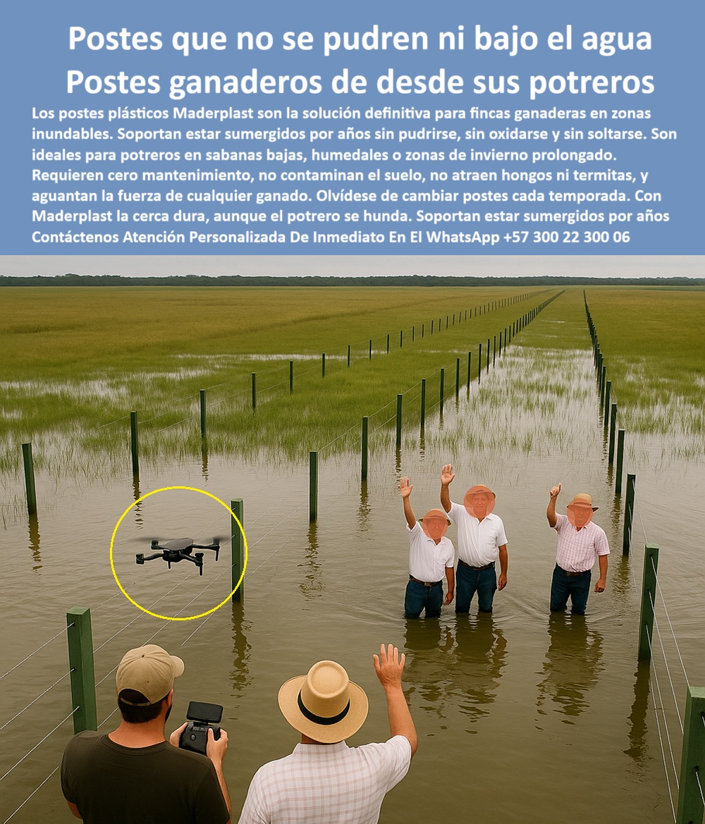 Postes Plásticos Para Inundaciones Cercas En Lagunas Y Humedad Maderplast poste plástico instalado en clima tropical con lluvia, - ¿Cuál es el mejor poste para sábanas con agua estancada?, - poste verde plástico firme en terreno húmedo con ganado, - poste-para-invierno-ganadero, - poste económico a largo plazo para clima extremo, - poste plástico para terrenos blandos o anegados, - ¿Qué poste soporta ganado sin aflojarse bajo el agua?, - cercado rural bajo agua con postes alineados en sabana tropical, - poste robusto que no se suelta en el barro, - poste fuerte para delimitar ganado en sabanas inundadas, - poste para dividir lotes ganaderos en sabanas, - poste-plástico-sabanas-inundadas, - poste funcional sin mantenimiento en sabanas, - poste para cercas ganaderas captado por drone, - poste funcional para cercas en lagunas y humedales, - poste sin reposición anual para potreros inundados, - poste sin pintura para uso agropecuario intensivo, - poste que resiste presión de ganado pesado, - poste plástico con resistencia comprobada en agua, - poste ecológico que no contamina el suelo rural, - poste duradero para terrenos ganaderos con agua, - poste-durable-bajo-agua, - poste ecológico activo en terreno ganadero inundado, - ¿Qué poste aguanta estar sumergido todo el invierno?, - poste plástico alineado en sabana con agua estancada, - poste-captado-por-drone, - poste reciclado resistente a humedad y hongos, - poste plástico para cercas que no se caen con agua, - sistema de cercado en finca ganadera inundada visto desde arriba, - ganaderos dentro del agua validando cerca sin fallas, - poste plástico para cerramiento rural en invierno, - poste de cerca sin oxidación ni deformación, - cerca rural sobre terreno húmedo en finca ganadera, - drone capturando poste plástico sumergido en potrero inundado, - poste que no se hunde con el potrero anegado, - poste plástico sin termitas ni óxido para fincas, - poste para ganaderos en zonas de invierno fuerte, - poste verde sumergido funcionando sin deterioro, - ¿Qué poste me sirve si el terreno se encharca por meses?, - poste-ecológico-sin-pintura, - ¿Dónde consigo postes que no se pudren con la lluvia?, - poste plástico sumergible para sabanas inundables, - poste verde alineado en clima tropical húmedo, - poste sin mantenimiento para zonas con lluvia prolongada, - poste delimitando potrero bajo agua con drone, - La imagen muestra un potrero en sabanas tropicales completamente inundado, donde se extiende un sistema de cercado hecho con postes plásticos verdes Maderplast que permanecen alineados y funcionales bajo el agua. Tres ganaderos saludan desde dentro del terreno anegado, validando la resistencia de la cerca, mientras un drone registra la instalación desde el aire. El paisaje demuestra que, incluso cuando el terreno se hunde, los postes siguen firmes, sin aflojarse, deformarse ni corroerse. Los postes plásticos Maderplast son la única opción confiable y comprobada para dividir potreros en zonas con lluvias intensas o temporadas de invierno prolongado. Con resistencia a la oxidación, a la pudrición, a hongos y termitas, y sin necesidad de mantenimiento, Maderplast entrega cercas seguras incluso si el agua cubre completamente el potrero. Su durabilidad estructural y sostenibilidad ecológica hacen que ganaderos de sabanas y zonas bajas los prefieran año tras año. Maderplast ofrece tecnología ganadera de alto rendimiento para quienes no quieren perder terreno ni volver a cambiar postes por culpa del clima., - poste-reciclado-uso-agropecuario, - poste estructural en finca inundada para ganado, - poste-sintético-para-ganado, - poste sintético instalado en potrero encharcado, - poste-de-cerca-encharcada, - poste sintético para potreros bajos en temporada lluviosa, - poste-resistente-clima-tropical, - poste-para-potreros-bajos, - poste estructural para potreros en invierno tropical, - poste seguro en fincas con agua estancada por meses 0 Dónde comprar postes que sirvan bajo el agua, - postes-plásticos-para-potreros, - Qué postes no se pudren potreros en invierno, - cercas ganado en sabanas Mar Postes Plásticos Para Inundaciones Cercas En Lagunas Y Humedad Maderplast 0 Dónde comprar postes que sirvan bajo el agua postes plásticos para potreros Qué postes no se pudren potreros en invierno cercas ganado en sabanas Mar poste plástico instalado en clima tropical con lluvia, - ¿Cuál es el mejor poste para sábanas con agua estancada?, - poste verde plástico firme en terreno húmedo con ganado, - poste-para-invierno-ganadero, - poste económico a largo plazo para clima extremo, - poste plástico para terrenos blandos o anegados, - ¿Qué poste soporta ganado sin aflojarse bajo el agua?, - cercado rural bajo agua con postes alineados en sabana tropical, - poste robusto que no se suelta en el barro, - poste fuerte para delimitar ganado en sabanas inundadas, - poste para dividir lotes ganaderos en sabanas, - poste-plástico-sabanas-inundadas, - poste funcional sin mantenimiento en sabanas, - poste para cercas ganaderas captado por drone, - poste funcional para cercas en lagunas y humedales, - poste sin reposición anual para potreros inundados, - poste sin pintura para uso agropecuario intensivo, - poste que resiste presión de ganado pesado, - poste plástico con resistencia comprobada en agua, - poste ecológico que no contamina el suelo rural, - poste duradero para terrenos ganaderos con agua, - poste-durable-bajo-agua, - poste ecológico activo en terreno ganadero inundado, - ¿Qué poste aguanta estar sumergido todo el invierno?, - poste plástico alineado en sabana con agua estancada, - poste-captado-por-drone, - poste reciclado resistente a humedad y hongos, - poste plástico para cercas que no se caen con agua, - sistema de cercado en finca ganadera inundada visto desde arriba, - ganaderos dentro del agua validando cerca sin fallas, - poste plástico para cerramiento rural en invierno, - poste de cerca sin oxidación ni deformación, - cerca rural sobre terreno húmedo en finca ganadera, - drone capturando poste plástico sumergido en potrero inundado, - poste que no se hunde con el potrero anegado, - poste plástico sin termitas ni óxido para fincas, - poste para ganaderos en zonas de invierno fuerte, - poste verde sumergido funcionando sin deterioro, - ¿Qué poste me sirve si el terreno se encharca por meses?, - poste-ecológico-sin-pintura, - ¿Dónde consigo postes que no se pudren con la lluvia?, - poste plástico sumergible para sabanas inundables, - poste verde alineado en clima tropical húmedo, - poste sin mantenimiento para zonas con lluvia prolongada, - poste delimitando potrero bajo agua con drone, - La imagen muestra un potrero en sabanas tropicales completamente inundado, donde se extiende un sistema de cercado hecho con postes plásticos verdes Maderplast que permanecen alineados y funcionales bajo el agua. Tres ganaderos saludan desde dentro del terreno anegado, validando la resistencia de la cerca, mientras un drone registra la instalación desde el aire. El paisaje demuestra que, incluso cuando el terreno se hunde, los postes siguen firmes, sin aflojarse, deformarse ni corroerse. Los postes plásticos Maderplast son la única opción confiable y comprobada para dividir potreros en zonas con lluvias intensas o temporadas de invierno prolongado. Con resistencia a la oxidación, a la pudrición, a hongos y termitas, y sin necesidad de mantenimiento, Maderplast entrega cercas seguras incluso si el agua cubre completamente el potrero. Su durabilidad estructural y sostenibilidad ecológica hacen que ganaderos de sabanas y zonas bajas los prefieran año tras año. Maderplast ofrece tecnología ganadera de alto rendimiento para quienes no quieren perder terreno ni volver a cambiar postes por culpa del clima., - poste-reciclado-uso-agropecuario, - poste estructural en finca inundada para ganado, - poste-sintético-para-ganado, - poste sintético instalado en potrero encharcado, - poste-de-cerca-encharcada, - poste sintético para potreros bajos en temporada lluviosa, - poste-resistente-clima-tropical, - poste-para-potreros-bajos, - poste estructural para potreros en invierno tropical, - poste seguro en fincas con agua estancada por meses 0 Postes Plásticos Para Inundaciones Cercas En Lagunas Y Humedad Maderplast 0 Dónde comprar postes que sirvan bajo el agua, - postes-plásticos-para-potreros, - Qué postes no se pudren potreros en invierno, - cercas ganado en sabanas Mar