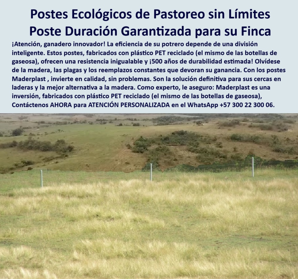 Postes Precios Más Económicos Poste Bajo Costo Promoción Postes Baratos Maderplast poste para pastoreo sin pintura ni plagas, - poste reciclado que soporta fuego y humedad, - poste sin químicos para suelos fértiles, - poste de cercas que reduce inversión anual, - poste-durable-sin-pintura, - poste-reciclado-pet-laderas-división-potreros-girardot.jpg, - poste para pastoreo sin pudrición ni oxidación, - Poste reciclado PET para división de pasturas en pendientes, - poste-de-bajo-costo-ganadero, - División ganadera en laderas usando polímero reciclado duradero, - poste resistente para zonas cálidas y secas, - ¿Qué postes duran más de 25 años para cercas?, - poste plástico para reemplazo de madera inmunizada, - poste de polímero técnico para divisiones ganaderas, - Finca ganadera en Girardot con postes sin mantenimiento visible, - poste rural seguro para paso de animales, - poste sin astillas ni óxido para ganado, - poste para división ecológica de potreros, - poste ideal para rotación de praderas, - poste-para-climas-extremos, - poste-para-laderas-rurales, - poste resistente para divisiones rurales sin mantenimiento, - poste-ecológico-para-pastoreo, - ¿Qué poste no necesita pintura ni mantenimiento?, - Instalación de postes sin pintura en potreros de sabana cálida, - ¿Qué poste es mejor que el de madera en potreros?, - poste técnico ligero para transportar a ladera, - poste de PET reciclado para cercas ecológicas, - ¿Cómo dividir una finca ecológicamente con postes reciclados?, - Vista lejana de potreros divididos con postes reciclados verdes, - Cercado ecológico con postes reciclados en laderas de Girardot, - poste plástico durable a 500 años estimados, - ¿Cuál es el poste ideal para laderas con ganado?, - poste-sustituto-de-madera, - poste-sin-astillas-ni-herrumbre, - poste con duración garantizada en pastos altos, - Cercado sin corrosión ni plagas para zonas ganaderas cálidas, - poste sin pintura ni astillas para praderas, - Postes alineados con pasto alto y vista natural en finca, - poste fácil de instalar sin herrajes metálicos, - poste-plástico-sin-químicos, - poste plástico reciclado para zonas inclinadas, - poste-para-división-eficiente, - poste-pet-reciclado-potreros, - poste flexible sin deformación en terreno irregular, - poste reciclado ecológico para terreno inclinado, - Postes de plástico reciclado instalados en clima árido colombiano, - poste plástico en promoción para potreros grandes, - Poste de PET que reemplaza madera en terreno inclinado, - poste verde ecológico para cerrar potreros, - poste de bajo costo para ganaderías modernas, - poste plástico para ahorro a largo plazo, - poste de PET reciclado similar a botellas gaseosas, - poste alternativo al concreto en zonas ladera, - poste plástico PET reciclado para ganadería intensiva, - poste para finca ganadera en clima cálido, - La imagen muestra una cerca profesionalmente instalada en la finca Angostura, vía Agua de Dios, en Girardot, Cundinamarca, con postes plásticos fabricados con PET reciclado, el mismo material de las botellas de gaseosa, lo que garantiza resistencia superior en terrenos inclinados, secos o con vegetación densa. Estos postes ecológicos eliminan por completo el uso de madera inmunizada, evitan la pintura, los hongos, las astillas, y el constante reemplazo por pudrición o termitas. Con una vida útil estimada de hasta 500 años, son la inversión más eficiente y sostenible para ganaderos innovadores que quieren dividir sus potreros sin degradar el ambiente. Son flexibles, resistentes a los rayos UV, al fuego y a la humedad, y permiten una división eficiente del terreno incluso en laderas complejas, facilitando el aprovechamiento total de la finca. Maderplast ha desarrollado esta solución como alternativa definitiva a los estacones convencionales. Una cerca de alta ingeniería que reduce costos y aumenta la rentabilidad de por vida 0 cerca ecológica sin pintura, - cercas con postes para aprovechamiento de pastos, - cercas-en-laderas, - Qué poste es mejor que el de madera Cercas 0 Postes Precios Más Económicos Poste Bajo Costo Promoción Postes Baratos Maderplast 0 cerca ecológica sin pintura cercas con postes para aprovechamiento de pastos cercas en laderas Qué poste es mejor que el de madera Cercas poste para pastoreo sin pintura ni plagas, - poste reciclado que soporta fuego y humedad, - poste sin químicos para suelos fértiles, - poste de cercas que reduce inversión anual, - poste-durable-sin-pintura, - poste-reciclado-pet-laderas-división-potreros-girardot.jpg, - poste para pastoreo sin pudrición ni oxidación, - Poste reciclado PET para división de pasturas en pendientes, - poste-de-bajo-costo-ganadero, - División ganadera en laderas usando polímero reciclado duradero, - poste resistente para zonas cálidas y secas, - ¿Qué postes duran más de 25 años para cercas?, - poste plástico para reemplazo de madera inmunizada, - poste de polímero técnico para divisiones ganaderas, - Finca ganadera en Girardot con postes sin mantenimiento visible, - poste rural seguro para paso de animales, - poste sin astillas ni óxido para ganado, - poste para división ecológica de potreros, - poste ideal para rotación de praderas, - poste-para-climas-extremos, - poste-para-laderas-rurales, - poste resistente para divisiones rurales sin mantenimiento, - poste-ecológico-para-pastoreo, - ¿Qué poste no necesita pintura ni mantenimiento?, - Instalación de postes sin pintura en potreros de sabana cálida, - ¿Qué poste es mejor que el de madera en potreros?, - poste técnico ligero para transportar a ladera, - poste de PET reciclado para cercas ecológicas, - ¿Cómo dividir una finca ecológicamente con postes reciclados?, - Vista lejana de potreros divididos con postes reciclados verdes, - Cercado ecológico con postes reciclados en laderas de Girardot, - poste plástico durable a 500 años estimados, - ¿Cuál es el poste ideal para laderas con ganado?, - poste-sustituto-de-madera, - poste-sin-astillas-ni-herrumbre, - poste con duración garantizada en pastos altos, - Cercado sin corrosión ni plagas para zonas ganaderas cálidas, - poste sin pintura ni astillas para praderas, - Postes alineados con pasto alto y vista natural en finca, - poste fácil de instalar sin herrajes metálicos, - poste-plástico-sin-químicos, - poste plástico reciclado para zonas inclinadas, - poste-para-división-eficiente, - poste-pet-reciclado-potreros, - poste flexible sin deformación en terreno irregular, - poste reciclado ecológico para terreno inclinado, - Postes de plástico reciclado instalados en clima árido colombiano, - poste plástico en promoción para potreros grandes, - Poste de PET que reemplaza madera en terreno inclinado, - poste verde ecológico para cerrar potreros, - poste de bajo costo para ganaderías modernas, - poste plástico para ahorro a largo plazo, - poste de PET reciclado similar a botellas gaseosas, - poste alternativo al concreto en zonas ladera, - poste plástico PET reciclado para ganadería intensiva, - poste para finca ganadera en clima cálido, - La imagen muestra una cerca profesionalmente instalada en la finca Angostura, vía Agua de Dios, en Girardot, Cundinamarca, con postes plásticos fabricados con PET reciclado, el mismo material de las botellas de gaseosa, lo que garantiza resistencia superior en terrenos inclinados, secos o con vegetación densa. Estos postes ecológicos eliminan por completo el uso de madera inmunizada, evitan la pintura, los hongos, las astillas, y el constante reemplazo por pudrición o termitas. Con una vida útil estimada de hasta 500 años, son la inversión más eficiente y sostenible para ganaderos innovadores que quieren dividir sus potreros sin degradar el ambiente. Son flexibles, resistentes a los rayos UV, al fuego y a la humedad, y permiten una división eficiente del terreno incluso en laderas complejas, facilitando el aprovechamiento total de la finca. Maderplast ha desarrollado esta solución como alternativa definitiva a los estacones convencionales. Una cerca de alta ingeniería que reduce costos y aumenta la rentabilidad de por vida 0 Postes Precios Más Económicos Poste Bajo Costo Promoción Postes Baratos Maderplast 0 cerca ecológica sin pintura, - cercas con postes para aprovechamiento de pastos, - cercas-en-laderas, - Qué poste es mejor que el de madera Cercas 0