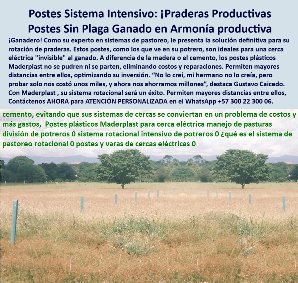 Postes Precios Más Económicos Poste Bajo Costo Promoción Postes Baratos Maderplast poste ideal para cercas con mínima inversión, - poste-con-25-años-de-duración-real, - poste confiable para uso intensivo agrícola, - poste reciclable para manejo de pasturas, - División de praderas visibles desde vía Girardot–Espinal, - poste barato de alta durabilidad para potrero, - poste-para-cercas-agrícolas-sin-pintura, - poste-plástico-para-dividir-fincas, - poste dieléctrico para cercas ganaderas seguras, - Finca productiva con cercas visibles desde carretera, - poste ecológico de bajo costo para dividir praderas, - poste-contra-plagas-para-ganadería, - poste técnico sin cemento para cerca eléctrica, - poste plástico para rotación intensiva de potreros, - Postes sin corrosión en sistema intensivo ganadero, - Sistema de pastoreo rotacional con postes sin desgaste, - poste sin cemento ni reemplazos para fincas, - poste para sistema rotacional intensivo de ganado, - Postes técnicos en rotación racional de pasturas, - Cerca eléctrica sin cemento ni óxido después de 25 años, - poste plástico sin pintura para proyectos rurales, - poste-sin-mantenimiento-para-potreros, - Postes alineados en campo abierto, intactos y firmes, - poste-de-uso-intensivo-en-ganadería, - poste-para-rotación-de-praderas, - poste que no requiere mantenimiento anual, - Pradera agrícola dividida con postes sin mantenimiento, - poste sólido para división eficiente de potreros, - poste-reciclado-para-cercas-productivas, - poste Maderplast para praderas productivas, - poste plástico para sistemas productivos ganaderos, - poste de bajo costo con más de 25 años útil, - poste barato con 25 años de duración probada, - poste-rotacional-economico-duracion-25-años-girardot.jpg, - poste de cerca eléctrica que no se pudre, - poste visible desde la autopista Girardot-Espinal, - ¿Qué poste reemplaza el concreto en divisiones ganaderas?, - poste instalado sin daño estructural en el tiempo, - poste que resiste clima y uso sin falla, - Instalación de postes sin deformación ni grietas, - poste para aumentar productividad en potreros, - ¿Dónde comprar postes plásticos para pastoreo rotacional?, - poste de largo plazo para divisiones agrícolas, - ¿Qué poste aguanta 25 años sin mantenimiento?, - ¿Qué poste no se oxida ni se parte para fincas?, - poste para cercas económicas y sostenibles, - poste técnico para evitar plagas en cercas, - poste para evitar plagas en sistemas ganaderos, - Postes plásticos instalados en potrero con 25 años de uso, - poste para rotación de praderas intensivas, - ¿Postes visibles desde la vía Girardot-Espinal?, - La imagen muestra un sistema de división de praderas intensivas con postes plásticos Maderplast, instalados hace más de 25 años en la finca de José Hernández, sobre la autopista Girardot–Espinal en el kilómetro 2.5. A plena vista desde la carretera, los postes siguen derechos, funcionales y sin señales de deterioro, siendo una prueba contundente de durabilidad real. Estos postes no se oxidan, no se parten ni atraen plagas, lo que elimina reemplazos y mantenimiento por décadas. Su instalación técnica para pastoreo rotacional intensivo permite espaciar hasta 25 metros entre postes, optimizando recursos. Fabricados en polímero reciclable de alta ingeniería, sustituyen con superioridad a los de cemento, concreto o madera inmunizada, que requieren cambios y cuidados constantes. Maderplast ofrece con esta tecnología una solución definitiva, técnica y ecológica para fincas ganaderas modernas que buscan productividad sin complicaciones. Con Maderplast, invierte una vez y ganó para siempre., - poste de polímero técnico para divisiones rurales, - poste ecológico para pastoreo rotacional sostenible, - poste-visible-desde-autopista-Girardot, - poste plástico resistente a plagas para potreros, - poste-plástico-de-bajo-costo-durable 0 postes-contra-plagas, - postes plásticos para rotación de praderas, - 00 Postes Precios Más Económicos Poste Bajo Costo Promoción Postes Baratos Maderplast 0 postes contra plagas postes plásticos para rotación de praderas 00 Postes Precios Más Económicos Poste Bajo Costo Promoción Postes Baratos Maderplast poste ideal para cercas con mínima inversión, - poste-con-25-años-de-duración-real, - poste confiable para uso intensivo agrícola, - poste reciclable para manejo de pasturas, - División de praderas visibles desde vía Girardot–Espinal, - poste barato de alta durabilidad para potrero, - poste-para-cercas-agrícolas-sin-pintura, - poste-plástico-para-dividir-fincas, - poste dieléctrico para cercas ganaderas seguras, - Finca productiva con cercas visibles desde carretera, - poste ecológico de bajo costo para dividir praderas, - poste-contra-plagas-para-ganadería, - poste técnico sin cemento para cerca eléctrica, - poste plástico para rotación intensiva de potreros, - Postes sin corrosión en sistema intensivo ganadero, - Sistema de pastoreo rotacional con postes sin desgaste, - poste sin cemento ni reemplazos para fincas, - poste para sistema rotacional intensivo de ganado, - Postes técnicos en rotación racional de pasturas, - Cerca eléctrica sin cemento ni óxido después de 25 años, - poste plástico sin pintura para proyectos rurales, - poste-sin-mantenimiento-para-potreros, - Postes alineados en campo abierto, intactos y firmes, - poste-de-uso-intensivo-en-ganadería, - poste-para-rotación-de-praderas, - poste que no requiere mantenimiento anual, - Pradera agrícola dividida con postes sin mantenimiento, - poste sólido para división eficiente de potreros, - poste-reciclado-para-cercas-productivas, - poste Maderplast para praderas productivas, - poste plástico para sistemas productivos ganaderos, - poste de bajo costo con más de 25 años útil, - poste barato con 25 años de duración probada, - poste-rotacional-economico-duracion-25-años-girardot.jpg, - poste de cerca eléctrica que no se pudre, - poste visible desde la autopista Girardot-Espinal, - ¿Qué poste reemplaza el concreto en divisiones ganaderas?, - poste instalado sin daño estructural en el tiempo, - poste que resiste clima y uso sin falla, - Instalación de postes sin deformación ni grietas, - poste para aumentar productividad en potreros, - ¿Dónde comprar postes plásticos para pastoreo rotacional?, - poste de largo plazo para divisiones agrícolas, - ¿Qué poste aguanta 25 años sin mantenimiento?, - ¿Qué poste no se oxida ni se parte para fincas?, - poste para cercas económicas y sostenibles, - poste técnico para evitar plagas en cercas, - poste para evitar plagas en sistemas ganaderos, - Postes plásticos instalados en potrero con 25 años de uso, - poste para rotación de praderas intensivas, - ¿Postes visibles desde la vía Girardot-Espinal?, - La imagen muestra un sistema de división de praderas intensivas con postes plásticos Maderplast, instalados hace más de 25 años en la finca de José Hernández, sobre la autopista Girardot–Espinal en el kilómetro 2.5. A plena vista desde la carretera, los postes siguen derechos, funcionales y sin señales de deterioro, siendo una prueba contundente de durabilidad real. Estos postes no se oxidan, no se parten ni atraen plagas, lo que elimina reemplazos y mantenimiento por décadas. Su instalación técnica para pastoreo rotacional intensivo permite espaciar hasta 25 metros entre postes, optimizando recursos. Fabricados en polímero reciclable de alta ingeniería, sustituyen con superioridad a los de cemento, concreto o madera inmunizada, que requieren cambios y cuidados constantes. Maderplast ofrece con esta tecnología una solución definitiva, técnica y ecológica para fincas ganaderas modernas que buscan productividad sin complicaciones. Con Maderplast, invierte una vez y ganó para siempre., - poste de polímero técnico para divisiones rurales, - poste ecológico para pastoreo rotacional sostenible, - poste-visible-desde-autopista-Girardot, - poste plástico resistente a plagas para potreros, - poste-plástico-de-bajo-costo-durable 0 postes-contra-plagas, - postes plásticos para rotación de praderas, - 00