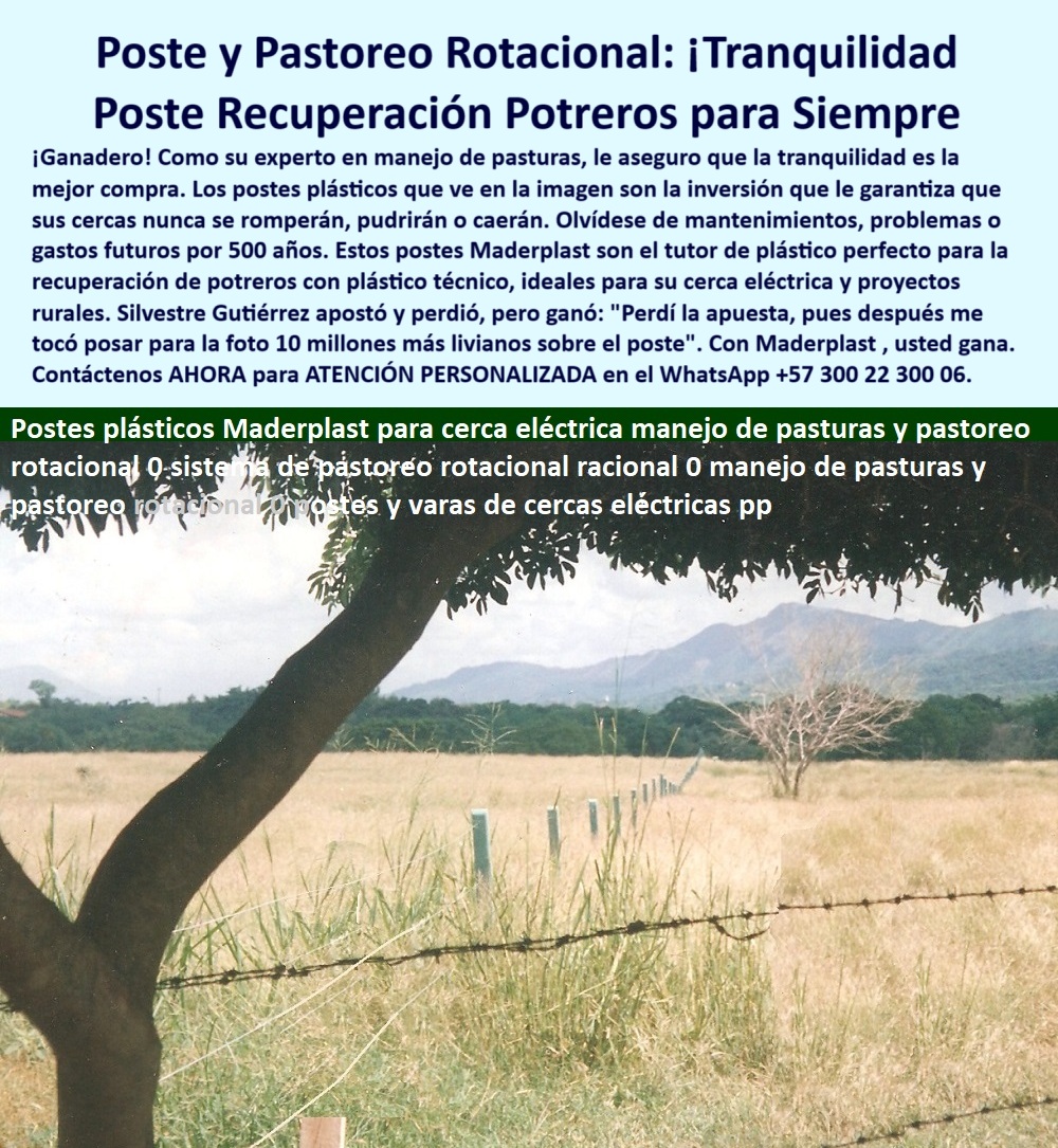 Postes Precios Más Económicos Postes Bajo Costo Promoción Postes Baratos Maderplast postes para recuperación de potreros con plástico, - cercado rural eficiente con poste reciclable, - poste-para-dividir-potreros, - alternativa sostenible a los postes de madera, - poste barato sin oxidación para potreros secos, - postes que no se pudren para potrero seco, - cómo dividir potreros para rotación efectiva, - cercado económico con soporte térmico y UV, - mejor poste para cercas térmicas y ganaderas, - Línea de postes plásticos en finca ganadera, - poste de bajo costo para ganadería ecológica, - poste técnico económico para finca sostenible, - ¿Cuál es el poste más duradero sin mantenimiento?, - solución-rural-bajo-costo, - poste barato para dividir potreros sin oxidación, - Postes alineados en potrero seco con pasto alto, - poste plástico para pastoreo rotacional económico, - cerca-rural-sin-mantenimiento, - Cercado rural con postes verdes resistentes, - división de potreros con poste plástico duradero, - contrato de suministro de postes sin mantenimiento, - Postes sin oxidación en clima cálido seco, - poste ecológico para pasturas ganaderas extensivas, - poste reciclado resistente para pastoreo rotacional, - poste sin mantenimiento para cercas rurales, - poste plástico resistente para ganadería intensiva, - poste-plástico-económico, - sistema de pastoreo rotacional con cercas técnicas, - ¿Poste barato para dividir fincas ganaderas?, - Sistema de pastoreo rotacional con poste plástico, - postes duraderos para terrenos con sol directo, - pastoreo-rotacional-eficiente, - poste-recuperacion-potreros-girardot-pastoreo-rotacional.jpg, - cerca eléctrica para rotación con poste plástico, - cerca-ganadera-liviana, - postes livianos para sistema de pastoreo rotacional, - ¿Dónde comprar postes de bajo costo para finca?, - ¿Qué postes sirven para recuperación de potreros?, - cercas ganaderas con postes de plástico reciclado, - Ganadería sostenible con división por rotación, - postes ganaderos que no se caen ni se parten, - Solución técnica para ganadería extensiva eficiente, - contrato-estatal-postes-plástico, - Poste firme en terreno seco con alambre de púas, - sistema-de-cercas-ganaderas, - ¿Qué poste sirve para pastoreo rotacional?, - En la variante Girardot-Espinal kilómetro 2, la finca de la ganadería Los Carreños confía en los postes plásticos para dividir potreros sin mantenimiento. Este sistema de pastoreo rotacional con postes reciclados garantiza durabilidad sin oxidación, sin pudrición y sin reposiciones. Maderplast ofrece la mejor solución técnica para recuperación de suelos, contratos estatales y cercas sostenibles. Ya más de 150 fincas en Colombia, incluyendo La Campiña, La Fazenda y El Zorrillo, han validado la eficacia de Maderplast., - poste-para-fincas-extensas, - poste plástico ideal para contratos del estado, - soluciones ganaderas con postes sin oxidación, - postes baratos para grandes extensiones rurales, - División de potreros con postes reciclables, - cercas con poste técnico para contrato estatal, - cercas con postes reciclables para clima seco, - poste de plástico ideal para sistemas intensivos, - recuperación-de-potreros, - Potrero seco dividido con poste sin mantenimiento recuperación de potreros con plástico técnico, - poste plástico para contrato estatal, - poste para seguridad térmica rural, - tutor de plástico poste Postes Precios Más Económicos Postes Bajo Costo Promoción Postes Baratos Maderplast recuperación de potreros con plástico técnico poste plástico para contrato estatal poste para seguridad térmica rural tutor de plástico poste postes para recuperación de potreros con plástico, - cercado rural eficiente con poste reciclable, - poste-para-dividir-potreros, - alternativa sostenible a los postes de madera, - poste barato sin oxidación para potreros secos, - postes que no se pudren para potrero seco, - cómo dividir potreros para rotación efectiva, - cercado económico con soporte térmico y UV, - mejor poste para cercas térmicas y ganaderas, - Línea de postes plásticos en finca ganadera, - poste de bajo costo para ganadería ecológica, - poste técnico económico para finca sostenible, - ¿Cuál es el poste más duradero sin mantenimiento?, - solución-rural-bajo-costo, - poste barato para dividir potreros sin oxidación, - Postes alineados en potrero seco con pasto alto, - poste plástico para pastoreo rotacional económico, - cerca-rural-sin-mantenimiento, - Cercado rural con postes verdes resistentes, - división de potreros con poste plástico duradero, - contrato de suministro de postes sin mantenimiento, - Postes sin oxidación en clima cálido seco, - poste ecológico para pasturas ganaderas extensivas, - poste reciclado resistente para pastoreo rotacional, - poste sin mantenimiento para cercas rurales, - poste plástico resistente para ganadería intensiva, - poste-plástico-económico, - sistema de pastoreo rotacional con cercas técnicas, - ¿Poste barato para dividir fincas ganaderas?, - Sistema de pastoreo rotacional con poste plástico, - postes duraderos para terrenos con sol directo, - pastoreo-rotacional-eficiente, - poste-recuperacion-potreros-girardot-pastoreo-rotacional.jpg, - cerca eléctrica para rotación con poste plástico, - cerca-ganadera-liviana, - postes livianos para sistema de pastoreo rotacional, - ¿Dónde comprar postes de bajo costo para finca?, - ¿Qué postes sirven para recuperación de potreros?, - cercas ganaderas con postes de plástico reciclado, - Ganadería sostenible con división por rotación, - postes ganaderos que no se caen ni se parten, - Solución técnica para ganadería extensiva eficiente, - contrato-estatal-postes-plástico, - Poste firme en terreno seco con alambre de púas, - sistema-de-cercas-ganaderas, - ¿Qué poste sirve para pastoreo rotacional?, - En la variante Girardot-Espinal kilómetro 2, la finca de la ganadería Los Carreños confía en los postes plásticos para dividir potreros sin mantenimiento. Este sistema de pastoreo rotacional con postes reciclados garantiza durabilidad sin oxidación, sin pudrición y sin reposiciones. Maderplast ofrece la mejor solución técnica para recuperación de suelos, contratos estatales y cercas sostenibles. Ya más de 150 fincas en Colombia, incluyendo La Campiña, La Fazenda y El Zorrillo, han validado la eficacia de Maderplast., - poste-para-fincas-extensas, - poste plástico ideal para contratos del estado, - soluciones ganaderas con postes sin oxidación, - postes baratos para grandes extensiones rurales, - División de potreros con postes reciclables, - cercas con poste técnico para contrato estatal, - cercas con postes reciclables para clima seco, - poste de plástico ideal para sistemas intensivos, - recuperación-de-potreros, - Potrero seco dividido con poste sin mantenimiento 0 Postes Precios Más Económicos Postes Bajo Costo Promoción Postes Baratos Maderplast recuperación de potreros con plástico técnico, - poste plástico para contrato estatal, - poste para seguridad térmica rural, - tutor de plástico poste