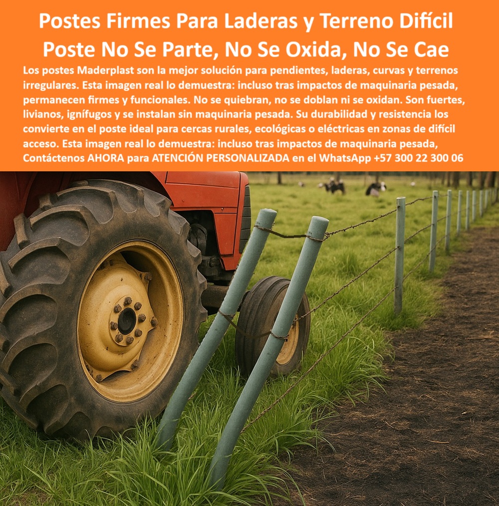 Postes Resistentes A Condiciones Extremas Postes Fuertes Postes Livianos Maderplast Poste doblado por tractor sin fractura estructural, - Poste plástico para laderas y terrenos difíciles sin mantenimiento, - poste para ganadería en laderas y zonas altas, - poste plástico ideal para curvas y topografía variada, - ¿Cuál es el mejor poste para terrenos inclinados?, - poste-que-no-se-quiebra-en-colinas, - poste anticorrosión para ambiente ganadero húmedo, - ¿Dónde consigo postes flexibles para zonas húmedas?, - poste que sustituye la madera en suelos inclinados, - Poste fuerte y liviano para uso ganadero en altura, - poste para ganadería intensiva en zonas críticas, - poste que resiste impacto de tractor en terreno inclinado, - poste para impacto de maquinaria sin fractura, - Impacto de maquinaria sin daño en poste reciclado, - poste plástico resistente para caminos rurales irregulares, - poste duradero en zonas con alta pendiente, - poste sin óxido ni astillas para terrenos húmedos, - poste para cercas en fincas con suelos complejos, - poste-para-potreros-irregulares, - poste de fijación firme en suelo inestable, - Poste inclinado por rueda sin romperse, - Poste flexible, fuerte y ecológico que resiste impactos de maquinaria pesada, - ¿Qué poste usar en laderas con maquinaria pesada?, - poste-para-ganado-en-montañas, - poste flexible que no se rompe con maquinaria agrícola, - poste-ecológico-en-pendientes, - poste para pendientes y zonas con difícil acceso, - poste plástico para terrenos inclinados o con ladera, - poste-para-finca-húmeda-con-inclinación, - poste-durable-en-zonas-críticas, - poste-plastico-impacto-tractor-terreno-dificil-maderplast.jpg, - poste que se adapta al relieve del terreno, - Poste plástico flexible resiste impacto en finca, - poste liviano para instalar sin maquinaria, - Cerramiento plástico en zona con laderas ganaderas, - poste que no se cae ni se parte en pendientes, - poste-resistente-a-tracción-en-suelos-blandos, - poste-flexible-para-impacto-de-maquinaria, - ¿Poste resistente para finca con terreno irregular?, - poste-para-terrenos-difíciles-y-laderas, - Esta imagen muestra la resistencia de los postes plásticos Maderplast frente a impactos reales en terreno irregular. Aunque una llanta de tractor pasa encima de ellos, los postes no se rompen ni colapsan, manteniendo la tensión del cercado. Son ideales para suelos inclinados, húmedos, con curvas o pendientes. Fabricados con material reciclado de alta ingeniería, estos postes no requieren pintura ni mantenimiento, no se oxidan, no se astillan y no se parten. Son livianos, fáciles de instalar y totalmente sostenibles. Maderplast garantiza durabilidad superior para zonas rurales complejas. Perfectos para potreros, caminos ganaderos, o sistemas eléctricos en fincas de topografía accidentada. Con Maderplast usted invierte una vez y olvida los reemplazos por muchos años., - ¿Poste que aguanta impacto sin romperse?, - Prueba de flexión en cercado de finca difícil, - Poste rural resistente en terreno ondulado, - poste plástico para suelos blandos o con humedad, - poste para cercas de alta tensión en campo irregular, - poste-plástico-para-topografía-compleja, - Cerramiento rural con postes para terrenos inclinados, - poste ignífugo y resistente al agua, - poste que se dobla y no colapsa con impactó, - poste para dividir praderas en zonas elevadas, - poste de alta ingeniería para terreno rural difícil, - poste rural reciclado con alta capacidad estructural, - poste reciclado resistente a golpes y clima extremo, - poste flexible y ecológico para cercas rurales, - poste resistente para impacto de tractor sin colapsar, - poste de rotación ganadera para cerros o taludes, - poste ecológico para cerramiento en laderas, - Poste ecológico en suelo húmedo e irregular 0 Poste para Laderas Inclinadas, - Postes de bajo impacto ambiental, - Poste para Terreno Difícil, - Poste para Pendientes, - Postes para fijación de Postes Resistentes A Condiciones Extremas Postes Fuertes Postes Livianos Maderplast 0 Poste para Laderas Inclinadas Postes de bajo impacto ambiental Poste para Terreno Difícil Poste para Pendientes Postes para fijación de Poste doblado por tractor sin fractura estructural, - Poste plástico para laderas y terrenos difíciles sin mantenimiento, - poste para ganadería en laderas y zonas altas, - poste plástico ideal para curvas y topografía variada, - ¿Cuál es el mejor poste para terrenos inclinados?, - poste-que-no-se-quiebra-en-colinas, - poste anticorrosión para ambiente ganadero húmedo, - ¿Dónde consigo postes flexibles para zonas húmedas?, - poste que sustituye la madera en suelos inclinados, - Poste fuerte y liviano para uso ganadero en altura, - poste para ganadería intensiva en zonas críticas, - poste que resiste impacto de tractor en terreno inclinado, - poste para impacto de maquinaria sin fractura, - Impacto de maquinaria sin daño en poste reciclado, - poste plástico resistente para caminos rurales irregulares, - poste duradero en zonas con alta pendiente, - poste sin óxido ni astillas para terrenos húmedos, - poste para cercas en fincas con suelos complejos, - poste-para-potreros-irregulares, - poste de fijación firme en suelo inestable, - Poste inclinado por rueda sin romperse, - Poste flexible, fuerte y ecológico que resiste impactos de maquinaria pesada, - ¿Qué poste usar en laderas con maquinaria pesada?, - poste-para-ganado-en-montañas, - poste flexible que no se rompe con maquinaria agrícola, - poste-ecológico-en-pendientes, - poste para pendientes y zonas con difícil acceso, - poste plástico para terrenos inclinados o con ladera, - poste-para-finca-húmeda-con-inclinación, - poste-durable-en-zonas-críticas, - poste-plastico-impacto-tractor-terreno-dificil-maderplast.jpg, - poste que se adapta al relieve del terreno, - Poste plástico flexible resiste impacto en finca, - poste liviano para instalar sin maquinaria, - Cerramiento plástico en zona con laderas ganaderas, - poste que no se cae ni se parte en pendientes, - poste-resistente-a-tracción-en-suelos-blandos, - poste-flexible-para-impacto-de-maquinaria, - ¿Poste resistente para finca con terreno irregular?, - poste-para-terrenos-difíciles-y-laderas, - Esta imagen muestra la resistencia de los postes plásticos Maderplast frente a impactos reales en terreno irregular. Aunque una llanta de tractor pasa encima de ellos, los postes no se rompen ni colapsan, manteniendo la tensión del cercado. Son ideales para suelos inclinados, húmedos, con curvas o pendientes. Fabricados con material reciclado de alta ingeniería, estos postes no requieren pintura ni mantenimiento, no se oxidan, no se astillan y no se parten. Son livianos, fáciles de instalar y totalmente sostenibles. Maderplast garantiza durabilidad superior para zonas rurales complejas. Perfectos para potreros, caminos ganaderos, o sistemas eléctricos en fincas de topografía accidentada. Con Maderplast usted invierte una vez y olvida los reemplazos por muchos años., - ¿Poste que aguanta impacto sin romperse?, - Prueba de flexión en cercado de finca difícil, - Poste rural resistente en terreno ondulado, - poste plástico para suelos blandos o con humedad, - poste para cercas de alta tensión en campo irregular, - poste-plástico-para-topografía-compleja, - Cerramiento rural con postes para terrenos inclinados, - poste ignífugo y resistente al agua, - poste que se dobla y no colapsa con impactó, - poste para dividir praderas en zonas elevadas, - poste de alta ingeniería para terreno rural difícil, - poste rural reciclado con alta capacidad estructural, - poste reciclado resistente a golpes y clima extremo, - poste flexible y ecológico para cercas rurales, - poste resistente para impacto de tractor sin colapsar, - poste de rotación ganadera para cerros o taludes, - poste ecológico para cerramiento en laderas, - Poste ecológico en suelo húmedo e irregular Postes Resistentes A Condiciones Extremas Postes Fuertes Postes Livianos Maderplast 0 Poste para Laderas Inclinadas, - Postes de bajo impacto ambiental, - Poste para Terreno Difícil, - Poste para Pendientes, - Postes para fijación de