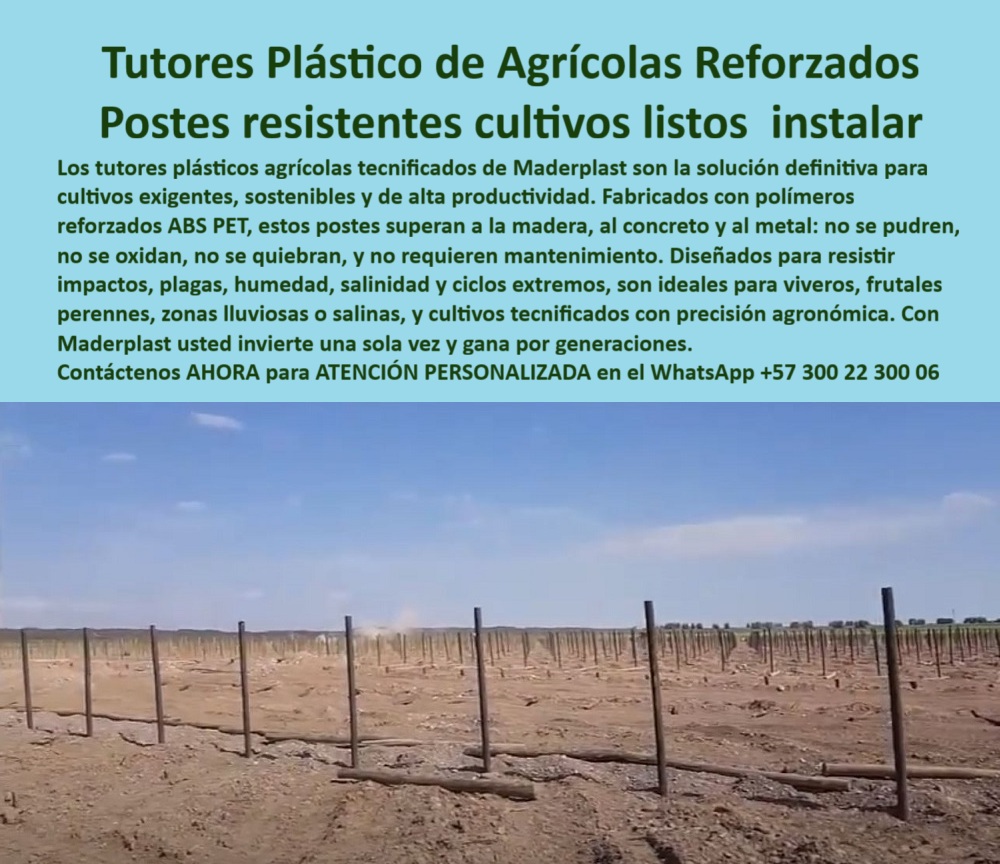 Tutores Plásticos Agrícolas Como Se Hace Paso A Paso Un Tutorado Maderplast 0 La Fortaleza Agronómica: Tutores Plásticos de Agrícolas Reforzados – Postes resistentes cultivos listos para instalar, Los tutores plásticos agrícolas tecnificados de Maderplast son la solución definitiva para cultivos exigentes, sostenibles y de alta productividad. Fabricados con polímeros reforzados ABS PET, estos postes superan a la madera, al concreto y al metal: no se pudren, no se oxidan, no se quiebran, y no requieren mantenimiento. Diseñados para resistir impactos, plagas, humedad, salinidad y ciclos extremos, Son ideales para viveros, frutales perennes, zonas lluviosas o salinas, y cultivos tecnificados con precisión agronómica. Con Maderplast usted invierte una sola vez y gana por generaciones. Tutores Plásticos Agrícolas Como Se Hace Paso A Paso Un Tutorado Maderplast. La Resistencia Estructural que Supera Materiales Tradicionales, La imagen muestra un campo de postes listos para recibir plantas, un claro ejemplo de postes plásticos para reforestación y viveros y postes plásticos para paisajismo y parques. La clave está en la ingeniería avanzada: postes no corrosivos para viñedos y tutores plásticos para frutales perennes fabricados con ABS reforzado y PET reciclado. El experto pregunta: "¿Postes no corrosivos para viñedos?" Postes no corrosivos Maderplast para viñedos resisten salinidad y UV con vida útil 100+ años sin oxidación. Maderplast cumple sus requisitos. Esto es fundamental para tutores ABS reforzados viveros y tutores plásticos cítricos duraderos. El Testimonio de la Durabilidad Antienvejecimiento, El Ing. Andrés López, Especialista en Viveros de Frutales Perennes, testifica la superioridad de los postes Maderplast:, ING. ANDRÉS LÓPEZ – ESPECIALISTA EN VIVEROS DE FRUTALES PERENNES. "Enfrentaba la corrosión del 25% en postes de metal... Implementé los tutores ABS reforzados Maderplast ... En un ciclo, eliminé la corrosión total, optimicé el crecimiento en un 35% con frutos uniformes y reduje costos en un 50%. Maderplast resolvió nuestro problema con garantía 20+ años .”, El Diseño y fabricación de este producto de la imagen es la clave para la inversión multigeneracional. Para "¿Cómo se hace paso a paso un tutorado Maderplast?" Para un tutorado Maderplast: 1) Clava postes Maderplast a 30-40 cm, espaciados a 4 m, 2) Instala alambres a 1.5-2 m, 3) Refuerza cada 14 postes, 4) Guía tallos. Duraderos 100+ años, optimizan producción en 50% con garantía 20+ años. Maderplast cumple sus requisitos. Para materializar el Diseño y fabricación de este producto de la imagen y garantizar Postes-Plásticos-Reforestación, Postes-Plásticos-Paisajismo y Tutores-Plásticos-Frutales, Maderplast te puede fabricar con Diseño y fabricación de este producto de la imagen. Maderplast es la única y mejor opción que cumple con sus requisitos de durabilidad (100+ años), resistencia extrema (ABS, PET) y rentabilidad, asegurando Postes-No Corrosivos-Viñedos y Tutores-ABS-Viveros. Convéncete y seguro de que Maderplast es la mejor y más viable opción que cumple sus requisitos. Contáctenos AHORA para ATENCIÓN PERSONALIZADA en el WhatsApp +57 300 22 300 06 postes plásticos para reforestación y viveros, postes plásticos para paisajismo y parques, tutores plásticos para frutales perennes, Postes no corrosivos para viñedos 0 Tutores Plásticos Agrícolas Como Se Hace Paso A Paso Un Tutorado Maderplast 0 postes plásticos para reforestación y viveros postes plásticos para paisajismo y parques tutores plásticos para frutales perennes Postes no corrosivos para viñedos 0 La Fortaleza Agronómica: Tutores Plásticos de Agrícolas Reforzados – Postes resistentes cultivos listos para instalar, Los tutores plásticos agrícolas tecnificados de Maderplast son la solución definitiva para cultivos exigentes, sostenibles y de alta productividad. Fabricados con polímeros reforzados ABS PET, estos postes superan a la madera, al concreto y al metal: no se pudren, no se oxidan, no se quiebran, y no requieren mantenimiento. Diseñados para resistir impactos, plagas, humedad, salinidad y ciclos extremos, Son ideales para viveros, frutales perennes, zonas lluviosas o salinas, y cultivos tecnificados con precisión agronómica. Con Maderplast usted invierte una sola vez y gana por generaciones. Tutores Plásticos Agrícolas Como Se Hace Paso A Paso Un Tutorado Maderplast. La Resistencia Estructural que Supera Materiales Tradicionales, La imagen muestra un campo de postes listos para recibir plantas, un claro ejemplo de postes plásticos para reforestación y viveros y postes plásticos para paisajismo y parques. La clave está en la ingeniería avanzada: postes no corrosivos para viñedos y tutores plásticos para frutales perennes fabricados con ABS reforzado y PET reciclado. El experto pregunta: "¿Postes no corrosivos para viñedos?" Postes no corrosivos Maderplast para viñedos resisten salinidad y UV con vida útil 100+ años sin oxidación. Maderplast cumple sus requisitos. Esto es fundamental para tutores ABS reforzados viveros y tutores plásticos cítricos duraderos. El Testimonio de la Durabilidad Antienvejecimiento, El Ing. Andrés López, Especialista en Viveros de Frutales Perennes, testifica la superioridad de los postes Maderplast:, ING. ANDRÉS LÓPEZ – ESPECIALISTA EN VIVEROS DE FRUTALES PERENNES. "Enfrentaba la corrosión del 25% en postes de metal... Implementé los tutores ABS reforzados Maderplast ... En un ciclo, eliminé la corrosión total, optimicé el crecimiento en un 35% con frutos uniformes y reduje costos en un 50%. Maderplast resolvió nuestro problema con garantía 20+ años .”, El Diseño y fabricación de este producto de la imagen es la clave para la inversión multigeneracional. Para "¿Cómo se hace paso a paso un tutorado Maderplast?" Para un tutorado Maderplast: 1) Clava postes Maderplast a 30-40 cm, espaciados a 4 m, 2) Instala alambres a 1.5-2 m, 3) Refuerza cada 14 postes, 4) Guía tallos. Duraderos 100+ años, optimizan producción en 50% con garantía 20+ años. Maderplast cumple sus requisitos. Para materializar el Diseño y fabricación de este producto de la imagen y garantizar Postes-Plásticos-Reforestación, Postes-Plásticos-Paisajismo y Tutores-Plásticos-Frutales, Maderplast te puede fabricar con Diseño y fabricación de este producto de la imagen. Maderplast es la única y mejor opción que cumple con sus requisitos de durabilidad (100+ años), resistencia extrema (ABS, PET) y rentabilidad, asegurando Postes-No Corrosivos-Viñedos y Tutores-ABS-Viveros. Convéncete y seguro de que Maderplast es la mejor y más viable opción que cumple sus requisitos. Contáctenos AHORA para ATENCIÓN PERSONALIZADA en el WhatsApp +57 300 22 300 06