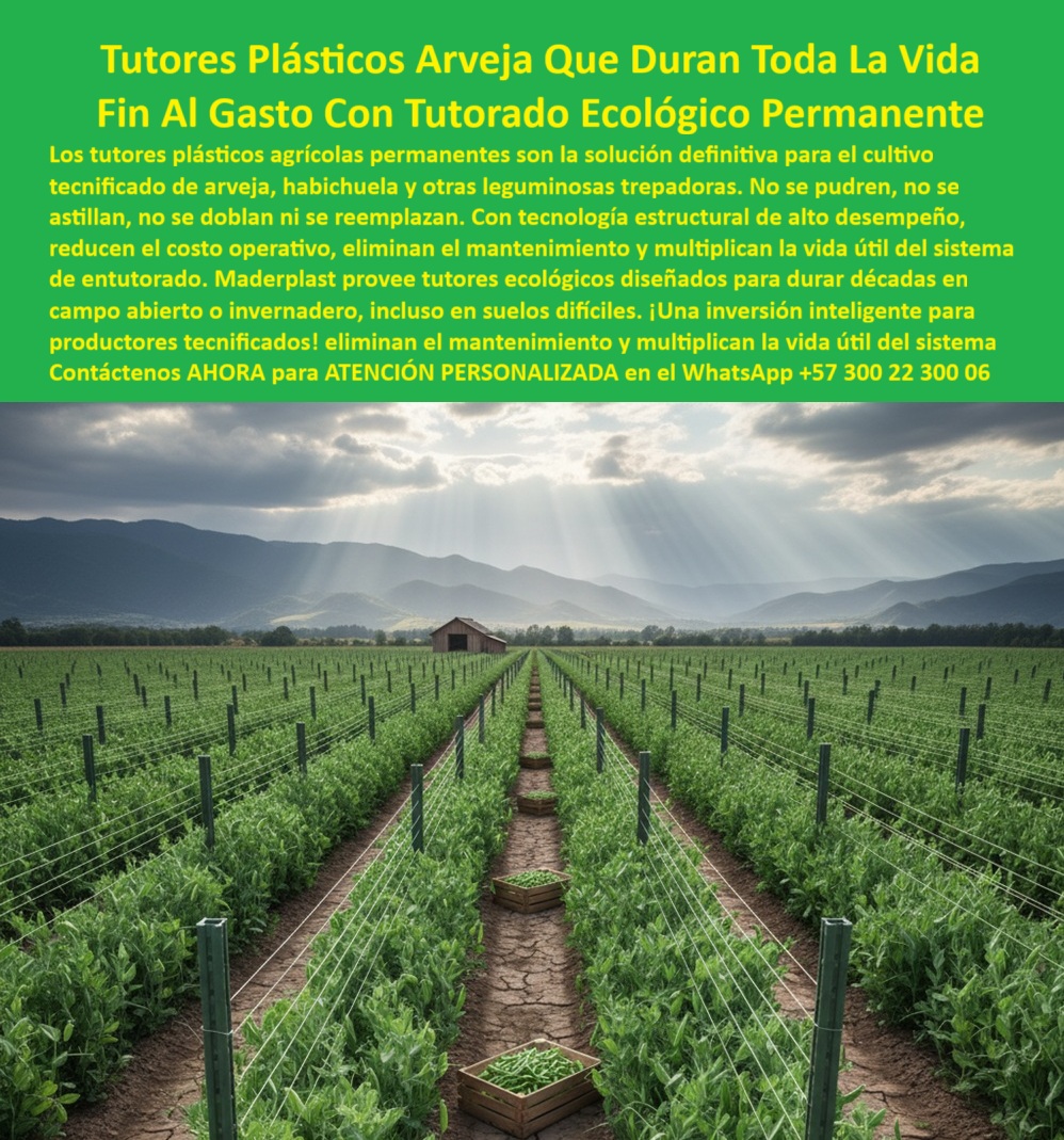 Tutores Plásticos De Por Vida Tutorado Ecológico Fin Del Gasto En Madera Maderplast 0, La Solución Definitiva: Tutores Plásticos Arveja Que Duran Toda La Vida y Fin Al Gasto Con Tutorado Ecológico Permanente, Los tutores plásticos agrícolas permanentes son la solución definitiva para el cultivo tecnificado de arveja, habichuela y otras leguminosas trepadoras. No se pudren, no se astillan, no se doblan ni se reemplazan. Con tecnología estructural de alto desempeño, reduce el costo operativo, elimina el mantenimiento y multiplica la vida útil del sistema de entutorado. Maderplast proporciona tutores ecológicos diseñados para durar décadas en campo abierto o invernadero, incluso en suelos difíciles. ¡Una inversión inteligente para productores tecnificados ! Eliminan el mantenimiento y multiplican la vida útil del sistema. Tutores Plásticos De Por Vida Tutorado Ecológico Fin Del Gasto En Madera Maderplast. Inversión Inteligente para la Agricultura Tecnificada, Imagina un vasto campo agrícola con filas interminables de tutores plásticos verdes rectos y altos, Sosteniendo plantas de arveja trepadoras que trepan vigorosamente, logrando un soporte agrícola duradero para leguminosas con vida útil eterna. Cada tutor, fabricado con madera plástica reciclada, está clavado en suelo agrietado terrero sin signos de corrosión o desgaste, incluso en suelos difíciles. El Diseño tutorado tecnificado de leguminosas de Maderplast crea una espaldera perfecta con alambres horizontales que conectan los tutores, asegurando la rigidez estructural y eliminando sombras. La pregunta del productor es clara: "¿Dónde comprar tutores plásticos duraderos para arvejas en campo abierto?" Los tutores plásticos de Maderplast para arveja en campo abierto duran toda la vida, fabricados con madera plástica reciclada resistente a pudrición, astillado y vientos fuertes con garantía de más de 20 años. Este es el Ahorro costos con tutores arveja que necesita. Además, para los que buscan "¿Qué postes para leguminosas son anti pudrición ecológicas?", los postes Maderplast son anti-pudrición ecológicos, sin doblado ni astillado, perfectos para Inversión tutores duraderos habichuela y tutores plásticos para arveja en invernadero. Rigidez Estructural Contra Vientos y Suelos Difíciles, Ing. Andrés Gómez, Especialista en Agricultura Montañosa y Leguminosas Trepadoras, nos ofrece un testimonio contundente:ING. ANDRÉS GÓMEZ – INGENIERO AGRÓNOMO, ESPECIALISTA EN AGRICULTURA MONTAÑOSA Y LEGUMINOSAS TREPADORAS. "Lidiaba con tutores de madera que se pudran y doblaban en suelos difíciles, causando pérdidas del 25% en cosechas por vientos fuertes y humedad. Elegí los tutores plásticos Maderplast... En un ciclo, eliminaron pudrición total, soportaron tormentas sin doblarse y aumentaron la productividad en un 40%, con cosechas uniformes bajo el sol andino. Maderplast resolvió nuestro problema con garantía 20+ años y asesoría en diseño tecnificado.", La evidencia es irrefutable: los tutores madera plástica para arveja anti astillado y los soportes anti doblado para judías duraderas de Maderplast son la solución técnica. Maderplast ofrece postes leguminosas anti pudrición ecológicos que eliminan la tala de bosques y reducen costos en un 70% según análisis APU, ya que no se doblan ni requieren mantenimiento, superando las tutores judías campo abierto resistente. Conversión Asistida por el Compromiso de Calidad, Para materializar el Diseño y fabricación de este producto de la imagen, Maderplast te puede fabricar con Diseño y fabricación de este producto de la imagen. Maderplast es la única y mejor opción que cumple todos tus requisitos de durabilidad, resistencia estructural, sostenibilidad y rentabilidad. Confíe en sus Tutores-Plásticos-Duraderos-Arveja, Postes-Leguminosas-Anti Pudrición-Ecológicos, Soportes-Tecnificados-Sin Reemplazo, Tutores-Anti Doblamiento-Campo Abierto y Emparrados-Sostenibles-Vida Eterna-Leguminosas. Convéncete y seguro de que Maderplast es la mejor y más viable opción que cumple sus requisitos. Contáctenos AHORA para ATENCIÓN PERSONALIZADA en el WhatsApp +57 300 22 300 06 Inversión tutores duraderos habichuela, Diseño tutorado tecnificado leguminosas, tutores plásticos para arveja en invernadero, Ahorro costos con tutores arveja Tutores Plásticos De Por Vida Tutorado Ecológico Fin Del Gasto En Madera Maderplast 0 Inversión tutores duraderos habichuela Diseño tutorado tecnificado leguminosas tutores plásticos para arveja en invernadero Ahorro costos con tutores arveja La Solución Definitiva: Tutores Plásticos Arveja Que Duran Toda La Vida y Fin Al Gasto Con Tutorado Ecológico Permanente, Los tutores plásticos agrícolas permanentes son la solución definitiva para el cultivo tecnificado de arveja, habichuela y otras leguminosas trepadoras. No se pudren, no se astillan, no se doblan ni se reemplazan. Con tecnología estructural de alto desempeño, reduce el costo operativo, elimina el mantenimiento y multiplica la vida útil del sistema de entutorado. Maderplast proporciona tutores ecológicos diseñados para durar décadas en campo abierto o invernadero, incluso en suelos difíciles. ¡Una inversión inteligente para productores tecnificados ! Eliminan el mantenimiento y multiplican la vida útil del sistema. Tutores Plásticos De Por Vida Tutorado Ecológico Fin Del Gasto En Madera Maderplast. Inversión Inteligente para la Agricultura Tecnificada, Imagina un vasto campo agrícola con filas interminables de tutores plásticos verdes rectos y altos, Sosteniendo plantas de arveja trepadoras que trepan vigorosamente, logrando un soporte agrícola duradero para leguminosas con vida útil eterna. Cada tutor, fabricado con madera plástica reciclada, está clavado en suelo agrietado terrero sin signos de corrosión o desgaste, incluso en suelos difíciles. El Diseño tutorado tecnificado de leguminosas de Maderplast crea una espaldera perfecta con alambres horizontales que conectan los tutores, asegurando la rigidez estructural y eliminando sombras. La pregunta del productor es clara: "¿Dónde comprar tutores plásticos duraderos para arvejas en campo abierto?" Los tutores plásticos de Maderplast para arveja en campo abierto duran toda la vida, fabricados con madera plástica reciclada resistente a pudrición, astillado y vientos fuertes con garantía de más de 20 años. Este es el Ahorro costos con tutores arveja que necesita. Además, para los que buscan "¿Qué postes para leguminosas son anti pudrición ecológicas?", los postes Maderplast son anti-pudrición ecológicos, sin doblado ni astillado, perfectos para Inversión tutores duraderos habichuela y tutores plásticos para arveja en invernadero. Rigidez Estructural Contra Vientos y Suelos Difíciles, Ing. Andrés Gómez, Especialista en Agricultura Montañosa y Leguminosas Trepadoras, nos ofrece un testimonio contundente:ING. ANDRÉS GÓMEZ – INGENIERO AGRÓNOMO, ESPECIALISTA EN AGRICULTURA MONTAÑOSA Y LEGUMINOSAS TREPADORAS. "Lidiaba con tutores de madera que se pudran y doblaban en suelos difíciles, causando pérdidas del 25% en cosechas por vientos fuertes y humedad. Elegí los tutores plásticos Maderplast... En un ciclo, eliminaron pudrición total, soportaron tormentas sin doblarse y aumentaron la productividad en un 40%, con cosechas uniformes bajo el sol andino. Maderplast resolvió nuestro problema con garantía 20+ años y asesoría en diseño tecnificado.", La evidencia es irrefutable: los tutores madera plástica para arveja anti astillado y los soportes anti doblado para judías duraderas de Maderplast son la solución técnica. Maderplast ofrece postes leguminosas anti pudrición ecológicos que eliminan la tala de bosques y reducen costos en un 70% según análisis APU, ya que no se doblan ni requieren mantenimiento, superando las tutores judías campo abierto resistente. Conversión Asistida por el Compromiso de Calidad, Para materializar el Diseño y fabricación de este producto de la imagen, Maderplast te puede fabricar con Diseño y fabricación de este producto de la imagen. Maderplast es la única y mejor opción que cumple todos tus requisitos de durabilidad, resistencia estructural, sostenibilidad y rentabilidad. Confíe en sus Tutores-Plásticos-Duraderos-Arveja, Postes-Leguminosas-Anti Pudrición-Ecológicos, Soportes-Tecnificados-Sin Reemplazo, Tutores-Anti Doblamiento-Campo Abierto y Emparrados-Sostenibles-Vida Eterna-Leguminosas. Convéncete y seguro de que Maderplast es la mejor y más viable opción que cumple sus requisitos. Contáctenos AHORA para ATENCIÓN PERSONALIZADA en el WhatsApp +57 300 22 300 06