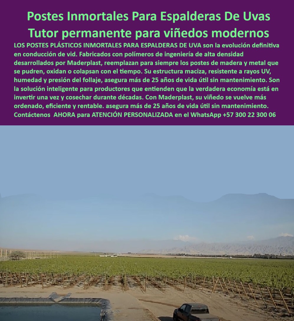 Tutores Viñedos Tutor Parrales Y Espalderas De Uva Estructuras Duraderas Maderplast 0 Postes Inmortales Maderplast para Espalderas De Uvas: La Verdadera Economía del Viñedo Moderno, El panorama de un viñedo moderno con hileras perfectas y la vista de un cuerpo de agua subraya la productividad y eficiencia que persigue el productor profesional. El elemento central de este éxito es la infraestructura, y aquí, el tutor permanente para viñedos modernos Maderplast se impone como la solución inteligente. Los Postes Plásticos Inmortales para Espalderas de Uva son la evolución definitiva en la conducción de vida, eliminando la amenaza constante de colapso y el gasto periódico que consume la rentabilidad. Fabricados con polímeros de ingeniería de alta densidad desarrollados por Maderplast, estos postes intermedios para espaldera de uva y demás tutores de la línea reemplazan para siempre los postes fallidos de madera (que se pudren) y metal (que se oxidan o colapsan con el tiempo). La estructura maciza Maderplast, con su diseño optimizado, es resistente a los rayos UV, humedad y soporta la presión del follaje, asegurando más de 25 años de vida útil sin mantenimiento. La verdadera economía del viñedo está en esta inversión para viñedo con cero mantenimiento. Al invertir una sola vez y cosechar durante décadas, los tutores que garantizan la verdadera economía Maderplast convierten un gasto recurrente en un activo fijo. Con Maderplast, su viñedo se vuelve más ordenado, eficiente y rentable, gracias a un sistema de conducción de vida permanente que asegura la estabilidad contra fallas. Maderplast: El Soporte Inmortal Que Garantiza el ROI, El productor que busca tutores para uva con 25 años de vida útil y más, debe saber que la respuesta es la alternativa a metal en tutorado de uva y el reemplazo de postes de madera en Vid. Este soporte permanente para presión del follaje no solo es fuerte, sino que es una solución a largo plazo para espalderas de uva. Dónde comprar postes plásticos para viñedos que duren más de 25 años sin mantenimiento? Los productores modernos invierten en postes plásticos inmortales hechos de polímeros de ingeniería, diseñados para durar más de 25 años sin mantenimiento, oxidación o pudrición. Esta es la verdadera economía a largo plazo. Maderplast, como fabricante, le ofrece la ingeniería más avanzada y el Diseño y fabricación de este producto de la imagen. Cuál es el mejor tutor permanente para reemplazar postes de madera en espalderas de uva? El mejor tutor permanente es el poste plástico de alta densidad. Su estructura maciza es inmune a la humedad y las plagas, Solucionando el problema del deterioro de la madera y garantizando la estabilidad del viñedo. Maderplast le ofrece la ingeniería más avanzada y el soporte permanente para la presión del follaje. Necesito postes intermedios para espaldera de uva que no se oxidan como el metal. Para evitar la oxidación, migre a los postes plásticos inmortales. Están fabricados para resistir la humedad y la corrosión, manteniendo la estructura firme y ordenada por décadas, perfectos para el emparrillado para uvas con máxima resistencia. Maderplast le ofrece la ingeniería más avanzada, asegurando un sistema de conducción de vídeo permanente. ¿Cómo puedo hacer que mi viñedo sea más eficiente y rentable a largo plazo con la infraestructura? La rentabilidad a largo plazo se logra invirtiendo una sola vez en tutores permanentes con cero mantenimiento. Esto reduce el costo total de propiedad (TCO) y asegura que su viñedo se vuelva más ordenado y productivo. Maderplast le ofrece la ingeniería más avanzada, con postes para vinificación de larga duración. El uso de tutores permanentes en viñedos modernos no es una opción, es una necesidad técnica. La justificación técnica es la integridad estructural ininterrumpida. La Estructura para uvas sin colapsos ni fallas de Maderplast está diseñada con polímero con aditivos anti-UV de espectro completo para resistir el clima extremo, garantizando la máxima longevidad y el orden del cultivo con diseño de espalderas de uva más ordenadas. El Sello de Confianza del Experto, El Ingeniero Matías Pérez, Gerente de Producción de Viñedo Tecnificado, da su aseveración profesional:, "NUESTRO OBJETIVO ERA CLARO: REDUCIR EL TCO (COSTO TOTAL DE PROPIEDAD) DEL VIÑEDO. LA MADERA Y EL METAL ERAN UN GASTO CONTINUO QUE SE COMÍA LA RENTABILIDAD. ENCONTRAMOS LA SOLUCIÓN INTELIGENTE CON LOS POSTES PLÁSTICOS INMORTALES PARA ESPALDERAS DE UVA DE MADERPLAST. EL ARGUMENTO QUE CONVENCIÓ A LA GERENCIA FUE QUE ESTÁBAMOS REALIZANDO UNA INVERSIÓN ÚNICA PARA COSECHAR DURANTE DÉCADAS. SU ESTRUCTURA MACIZA Y RESISTENTE A LOS RAYOS UV NOS GARANTIZA MÁS DE 25 AÑOS DE VIDA ÚTIL SIN MANTENIMIENTO SE VE MÁS ORDENADO, ES MÁS EFICIENTE, Y LA ELIMINACIÓN DE LOS COSTOS DE REEMPLAZO HA DISPARADO. NUESTRA RENTABILIDAD. MADERPLAST ES LA MEJOR Y MÁS INDICADA OPCIÓN QUE CUMPLE CON NUESTROS REQUISITOS.", Al invertir en Postes-plásticos-inmortales-viñedos-modernos, usted invierte en el legado de su finca. Maderplast es la única y mejor opción que cumple con sus requisitos de durabilidad, eficiencia y rentabilidad. Para iniciar su proyecto de Espalderas-uvas-polímero-alta-densidad-UV y Reemplazo-madera-metal-rentabilidad-décadas, Contáctenos AHORA para ATENCIÓN PERSONALIZADA en el WhatsApp +57 300 22 300 06.  Postes intermedios para espaldera de uva, Tutores para Vid, Postes Plásticos Inmortales, Emparrillado para uvas vinificación, Postes intermedios para espalderas Tutores Viñedos Tutor Parrales Y Espalderas De Uva Estructuras Duraderas Maderplast 0 Postes intermedios para espaldera de uva Tutores para Vid Postes Plásticos Inmortales Emparrillado para uvas vinificación Postes intermedios para espalderas Postes Inmortales Maderplast para Espalderas De Uvas: La Verdadera Economía del Viñedo Moderno, El panorama de un viñedo moderno con hileras perfectas y la vista de un cuerpo de agua subraya la productividad y eficiencia que persigue el productor profesional. El elemento central de este éxito es la infraestructura, y aquí, el tutor permanente para viñedos modernos Maderplast se impone como la solución inteligente. Los Postes Plásticos Inmortales para Espalderas de Uva son la evolución definitiva en la conducción de vida, eliminando la amenaza constante de colapso y el gasto periódico que consume la rentabilidad. Fabricados con polímeros de ingeniería de alta densidad desarrollados por Maderplast, estos postes intermedios para espaldera de uva y demás tutores de la línea reemplazan para siempre los postes fallidos de madera (que se pudren) y metal (que se oxidan o colapsan con el tiempo). La estructura maciza Maderplast, con su diseño optimizado, es resistente a los rayos UV, humedad y soporta la presión del follaje, asegurando más de 25 años de vida útil sin mantenimiento. La verdadera economía del viñedo está en esta inversión para viñedo con cero mantenimiento. Al invertir una sola vez y cosechar durante décadas, los tutores que garantizan la verdadera economía Maderplast convierten un gasto recurrente en un activo fijo. Con Maderplast, su viñedo se vuelve más ordenado, eficiente y rentable, gracias a un sistema de conducción de vida permanente que asegura la estabilidad contra fallas. Maderplast: El Soporte Inmortal Que Garantiza el ROI, El productor que busca tutores para uva con 25 años de vida útil y más, debe saber que la respuesta es la alternativa a metal en tutorado de uva y el reemplazo de postes de madera en Vid. Este soporte permanente para presión del follaje no solo es fuerte, sino que es una solución a largo plazo para espalderas de uva. Dónde comprar postes plásticos para viñedos que duren más de 25 años sin mantenimiento? Los productores modernos invierten en postes plásticos inmortales hechos de polímeros de ingeniería, diseñados para durar más de 25 años sin mantenimiento, oxidación o pudrición. Esta es la verdadera economía a largo plazo. Maderplast, como fabricante, le ofrece la ingeniería más avanzada y el Diseño y fabricación de este producto de la imagen. Cuál es el mejor tutor permanente para reemplazar postes de madera en espalderas de uva? El mejor tutor permanente es el poste plástico de alta densidad. Su estructura maciza es inmune a la humedad y las plagas, Solucionando el problema del deterioro de la madera y garantizando la estabilidad del viñedo. Maderplast le ofrece la ingeniería más avanzada y el soporte permanente para la presión del follaje. Necesito postes intermedios para espaldera de uva que no se oxidan como el metal. Para evitar la oxidación, migre a los postes plásticos inmortales. Están fabricados para resistir la humedad y la corrosión, manteniendo la estructura firme y ordenada por décadas, perfectos para el emparrillado para uvas con máxima resistencia. Maderplast le ofrece la ingeniería más avanzada, asegurando un sistema de conducción de vídeo permanente. ¿Cómo puedo hacer que mi viñedo sea más eficiente y rentable a largo plazo con la infraestructura? La rentabilidad a largo plazo se logra invirtiendo una sola vez en tutores permanentes con cero mantenimiento. Esto reduce el costo total de propiedad (TCO) y asegura que su viñedo se vuelva más ordenado y productivo. Maderplast le ofrece la ingeniería más avanzada, con postes para vinificación de larga duración. El uso de tutores permanentes en viñedos modernos no es una opción, es una necesidad técnica. La justificación técnica es la integridad estructural ininterrumpida. La Estructura para uvas sin colapsos ni fallas de Maderplast está diseñada con polímero con aditivos anti-UV de espectro completo para resistir el clima extremo, garantizando la máxima longevidad y el orden del cultivo con diseño de espalderas de uva más ordenadas. El Sello de Confianza del Experto, El Ingeniero Matías Pérez, Gerente de Producción de Viñedo Tecnificado, da su aseveración profesional:, "NUESTRO OBJETIVO ERA CLARO: REDUCIR EL TCO (COSTO TOTAL DE PROPIEDAD) DEL VIÑEDO. LA MADERA Y EL METAL ERAN UN GASTO CONTINUO QUE SE COMÍA LA RENTABILIDAD. ENCONTRAMOS LA SOLUCIÓN INTELIGENTE CON LOS POSTES PLÁSTICOS INMORTALES PARA ESPALDERAS DE UVA DE MADERPLAST. EL ARGUMENTO QUE CONVENCIÓ A LA GERENCIA FUE QUE ESTÁBAMOS REALIZANDO UNA INVERSIÓN ÚNICA PARA COSECHAR DURANTE DÉCADAS. SU ESTRUCTURA MACIZA Y RESISTENTE A LOS RAYOS UV NOS GARANTIZA MÁS DE 25 AÑOS DE VIDA ÚTIL SIN MANTENIMIENTO SE VE MÁS ORDENADO, ES MÁS EFICIENTE, Y LA ELIMINACIÓN DE LOS COSTOS DE REEMPLAZO HA DISPARADO. NUESTRA RENTABILIDAD. MADERPLAST ES LA MEJOR Y MÁS INDICADA OPCIÓN QUE CUMPLE CON NUESTROS REQUISITOS.", Al invertir en Postes-plásticos-inmortales-viñedos-modernos, usted invierte en el legado de su finca. Maderplast es la única y mejor opción que cumple con sus requisitos de durabilidad, eficiencia y rentabilidad. Para iniciar su proyecto de Espalderas-uvas-polímero-alta-densidad-UV y Reemplazo-madera-metal-rentabilidad-décadas, Contáctenos AHORA para ATENCIÓN PERSONALIZADA en el WhatsApp +57 300 22 300 06.