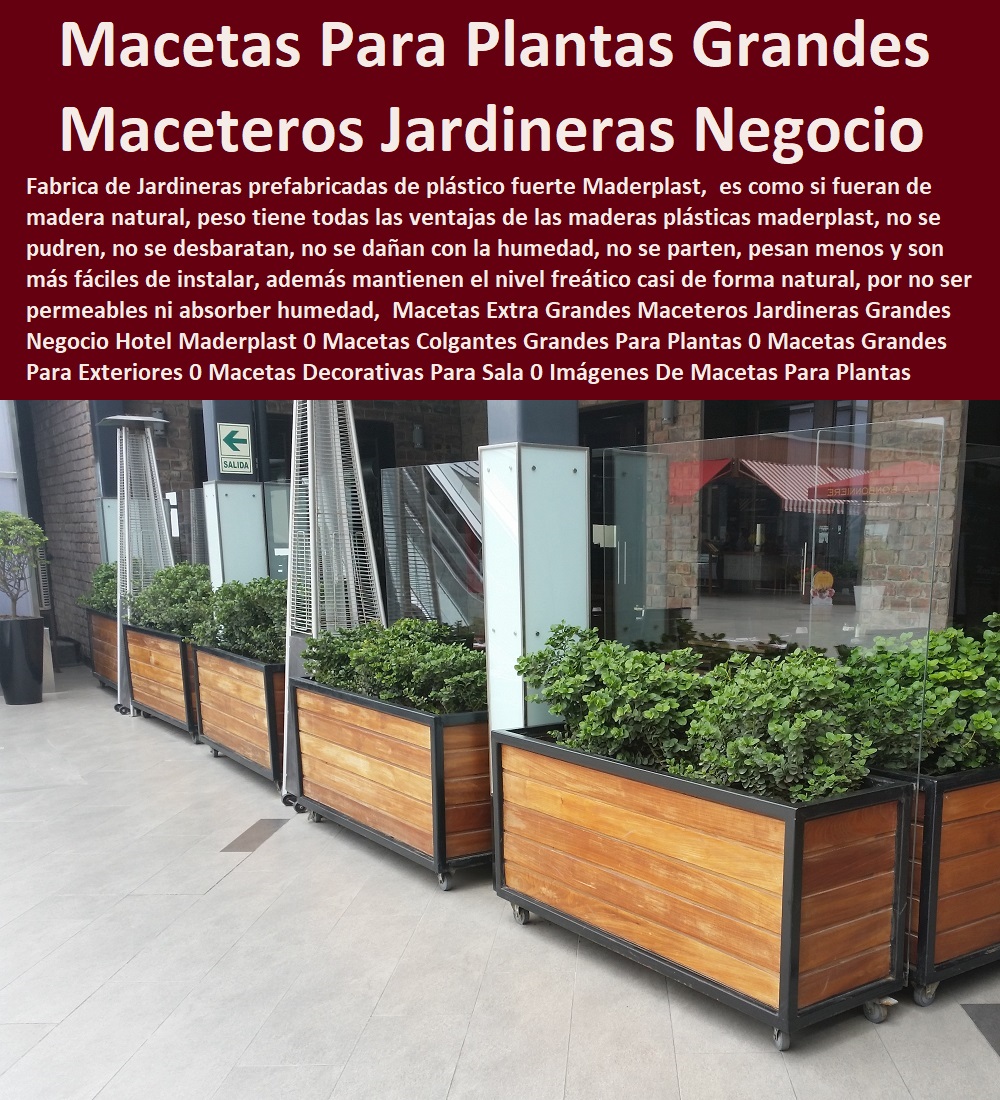 Macetas Extra Grandes Maceteros Jardineras Grandes Negocio Hotel Maderplast 0 Macetas Colgantes Grandes Para Plantas 0 Macetas Grandes Para Exteriores 0 Macetas Decorativas Para Sala 0 Imágenes De Macetas Para Plantas Grandes 0 Materas Modernas 0 Macetas Extra Grandes Maceteros Jardineras Grandes Negocio Hotel Maderplast 0 Macetas Colgantes Grandes Para Plantas 0 Macetas Grandes Para Exteriores 0 Macetas Decorativas Para Sala 0 Imágenes De Macetas Para Plantas Grandes 0 Materas Modernas 0