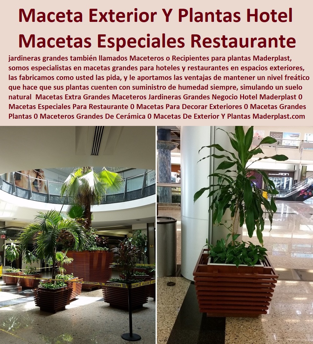 Macetas Extra Grandes Maceteros Jardineras Grandes Negocio Hotel Maderplast 0 Macetas Especiales Para Restaurante 0 Macetas Para Decorar Exteriores 0 Macetas Grandes Para Plantas 0 Maceteros Grandes De Cerámica 0 Macetas De Exterior Y Plantas 0Macetas Extra Grandes Maceteros Jardineras Grandes Negocio Hotel Maderplast 0 Macetas Especiales Para Restaurante 0 Macetas Para Decorar Exteriores 0 Macetas Grandes Para Plantas 0 Maceteros Grandes De Cerámica 0 Macetas De Exterior Y Plantas 0 