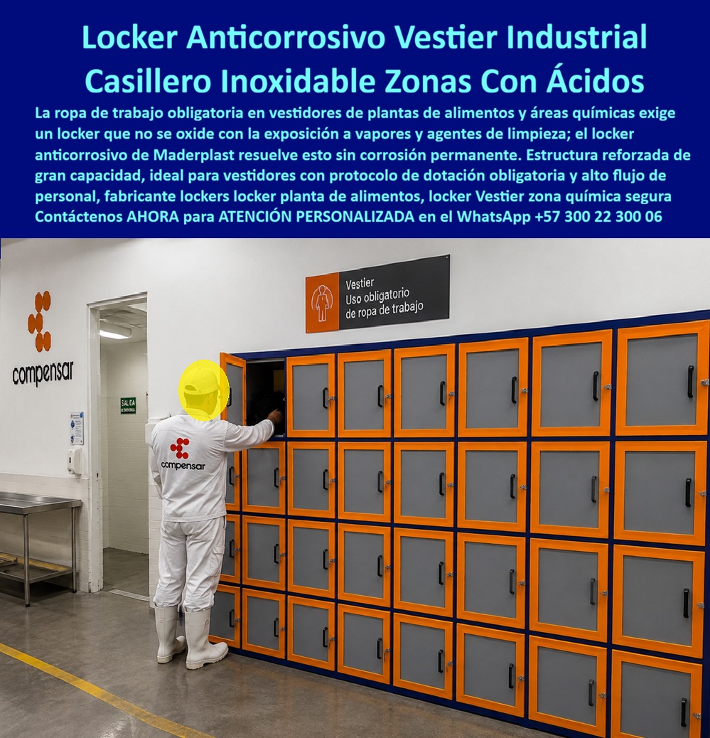 Lockers de alta resistencia químicas Ácidos Locker Anticorrosivo Maderplast - Casillero Inoxidable Para Almacenamiento Seguro De Químicos, Locker Industrial Áreas Químicas Resistente Sin Corrosión Permanente, Lockers industriales para áreas Lockers de alta resistencia químicas Ácidos Locker Anticorrosivo Maderplast Casillero Inoxidable Para Almacenamiento Seguro De Químicos Locker Industrial Áreas Químicas Resistente Sin Corrosión Permanente Lockers industriales para áreas